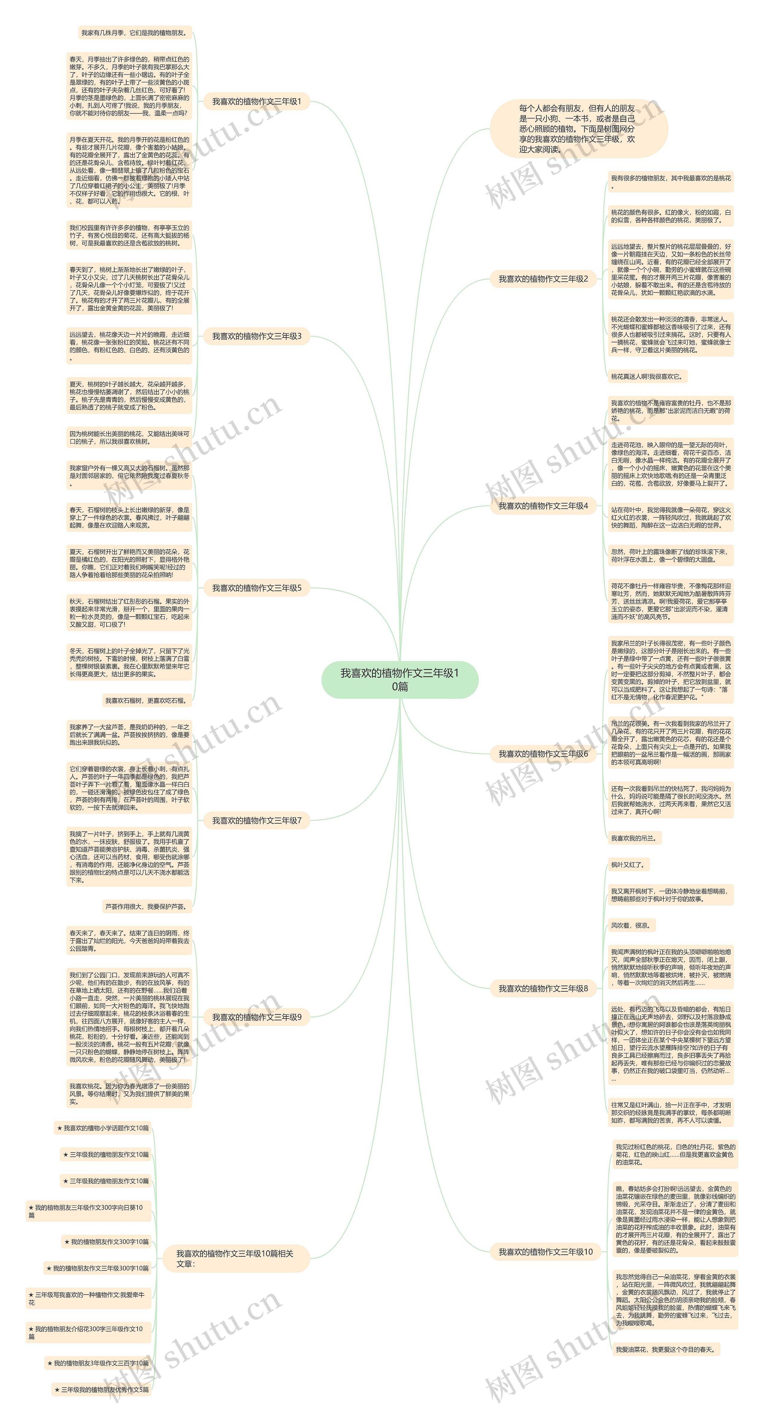 我喜欢的植物作文三年级10篇思维导图