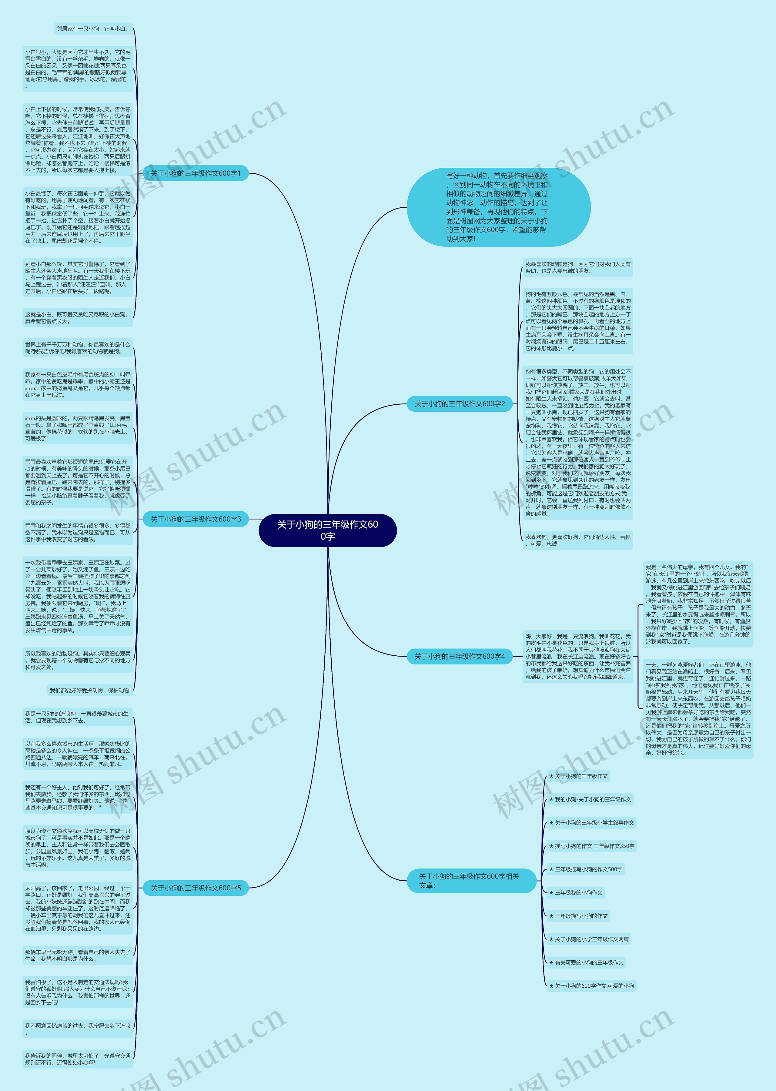关于小狗的三年级作文600字思维导图