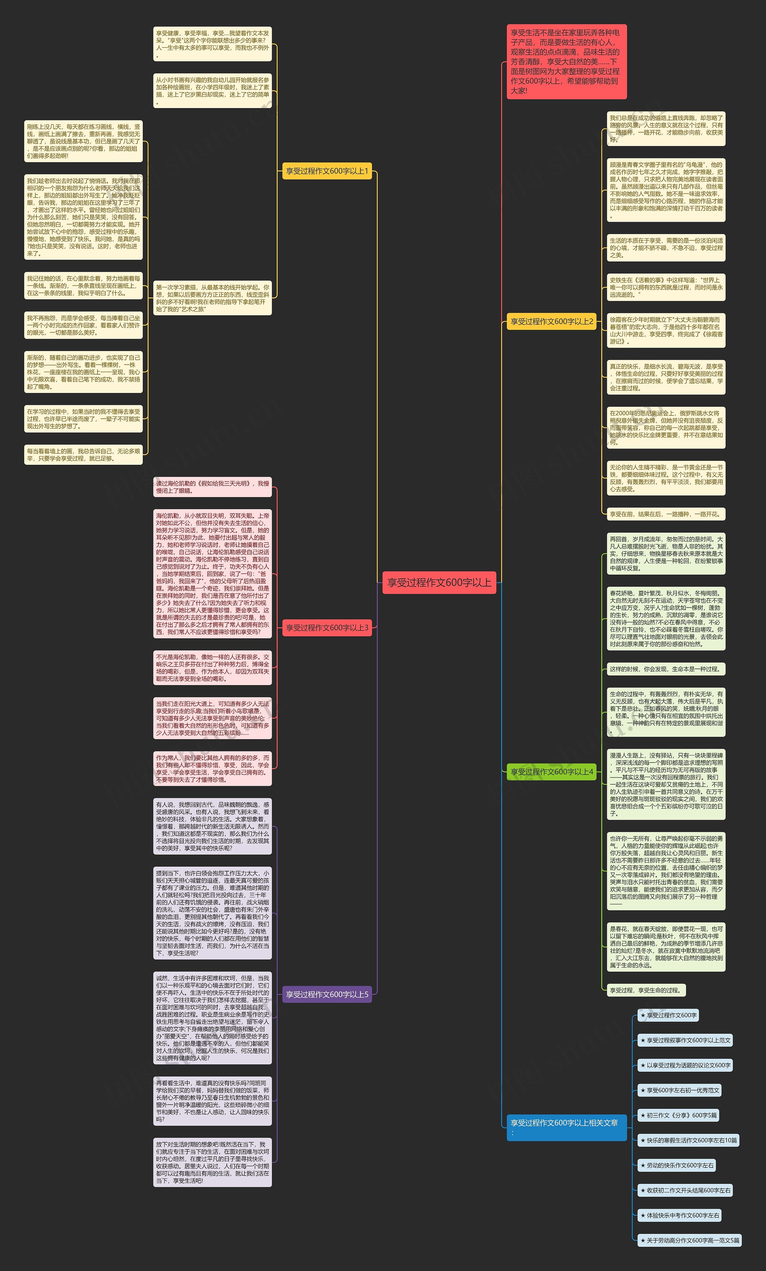 享受过程作文600字以上思维导图