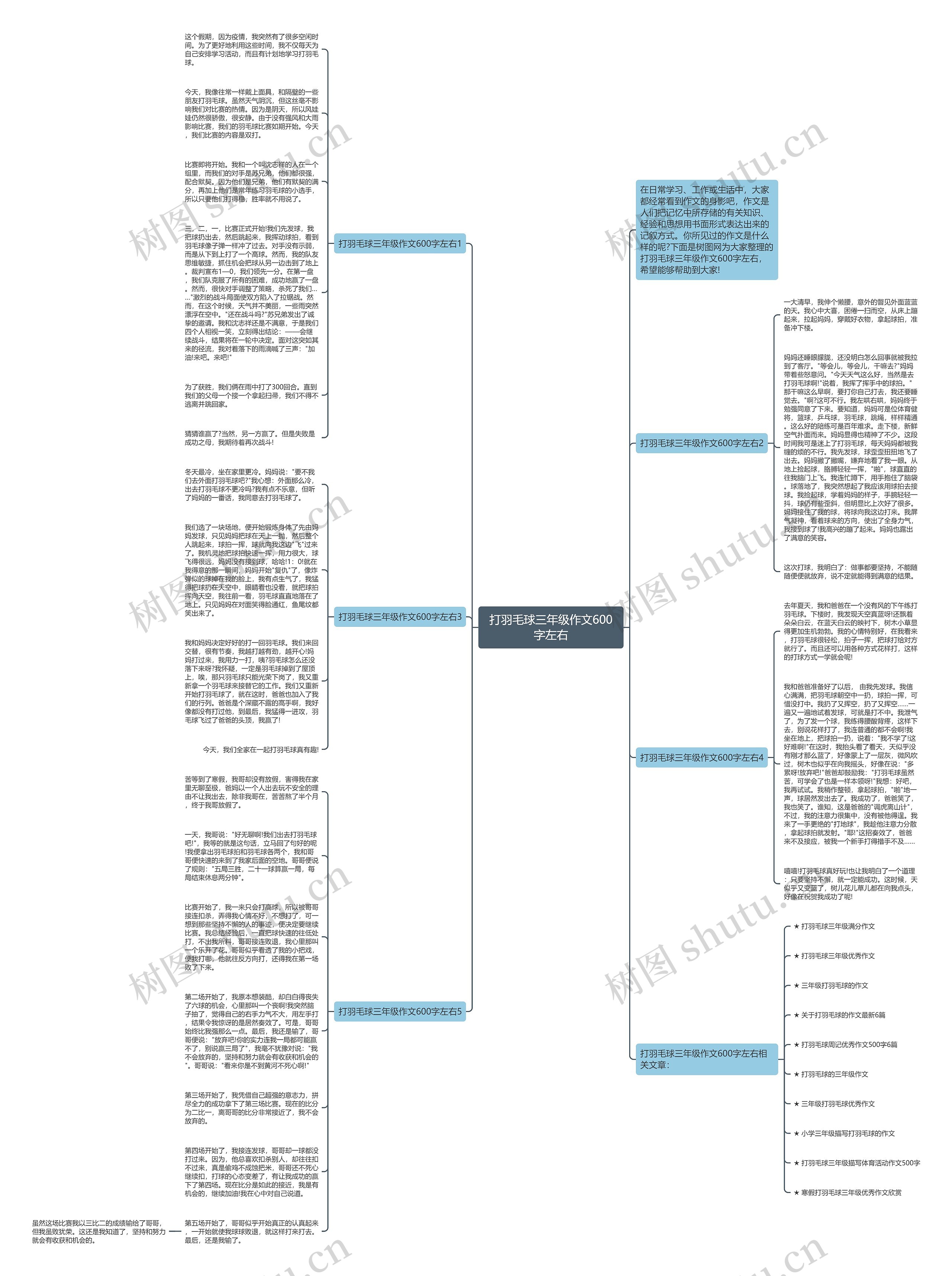 打羽毛球三年级作文600字左右思维导图