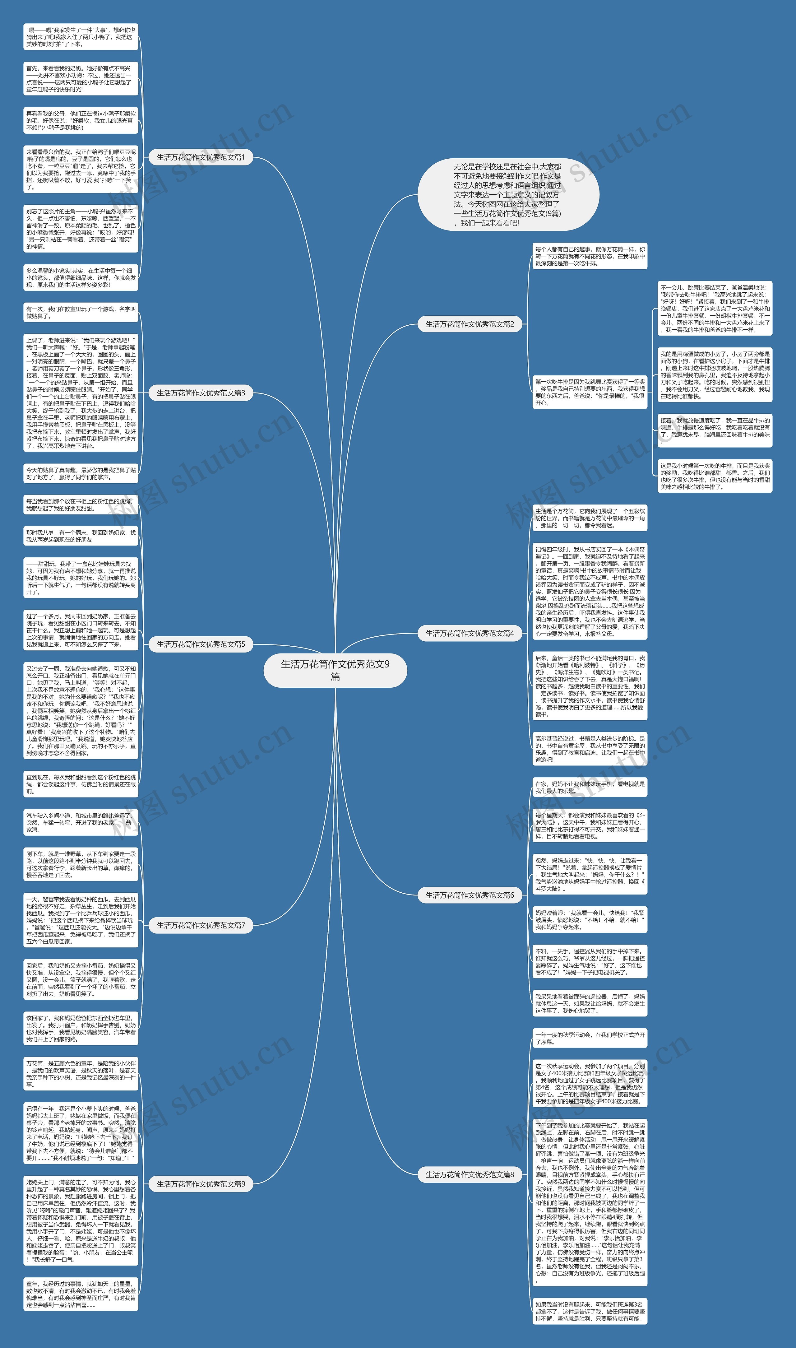 生活万花筒作文优秀范文9篇思维导图