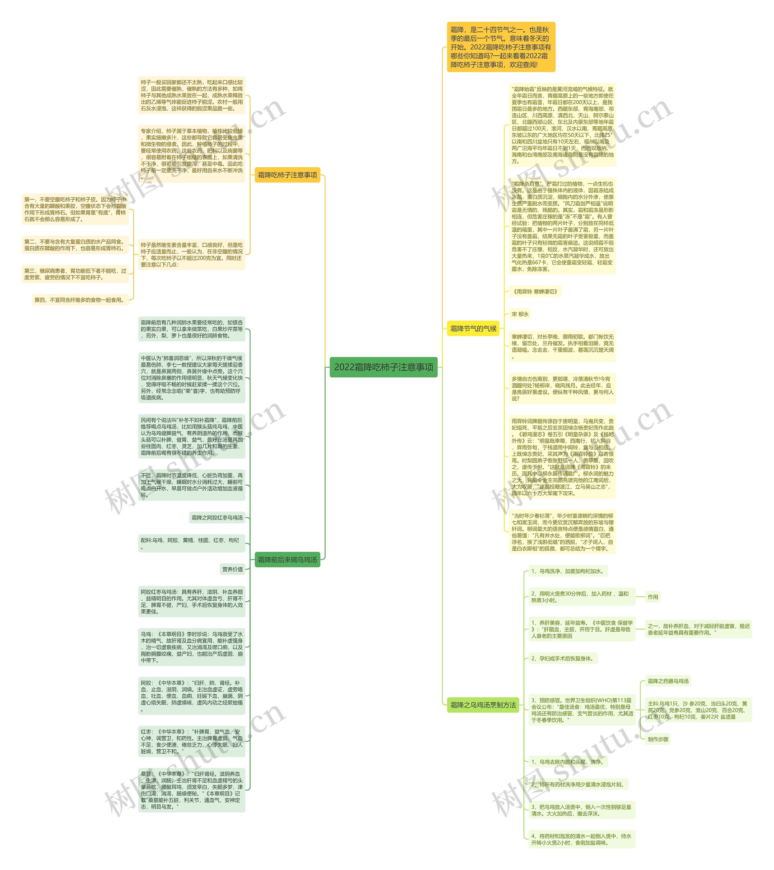 2022霜降吃柿子注意事项思维导图