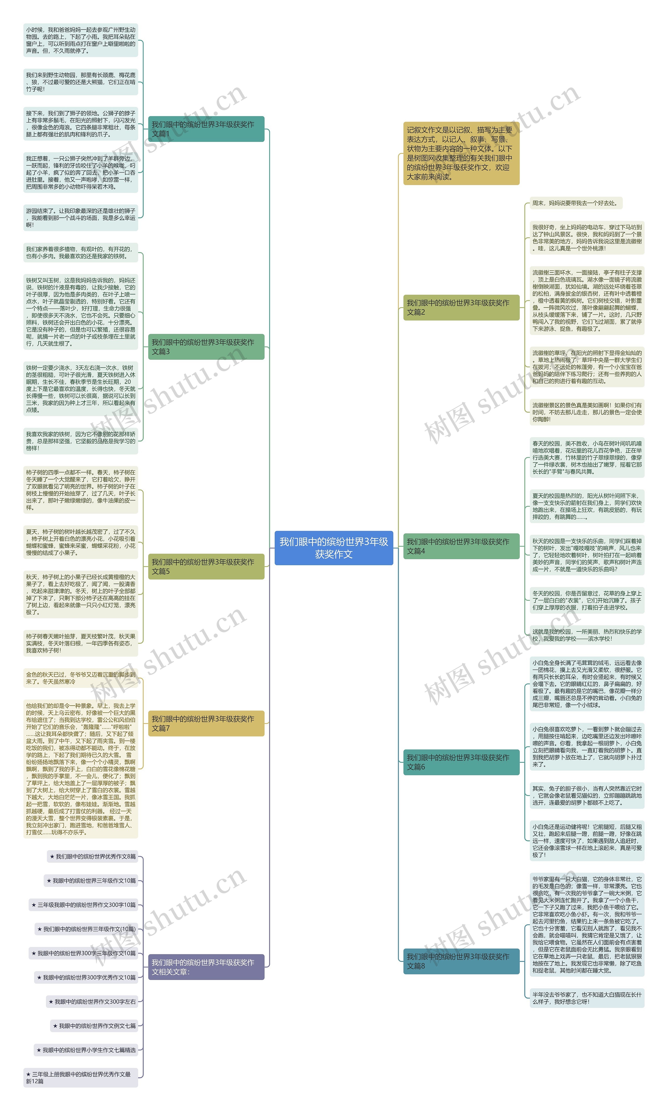 我们眼中的缤纷世界3年级获奖作文思维导图