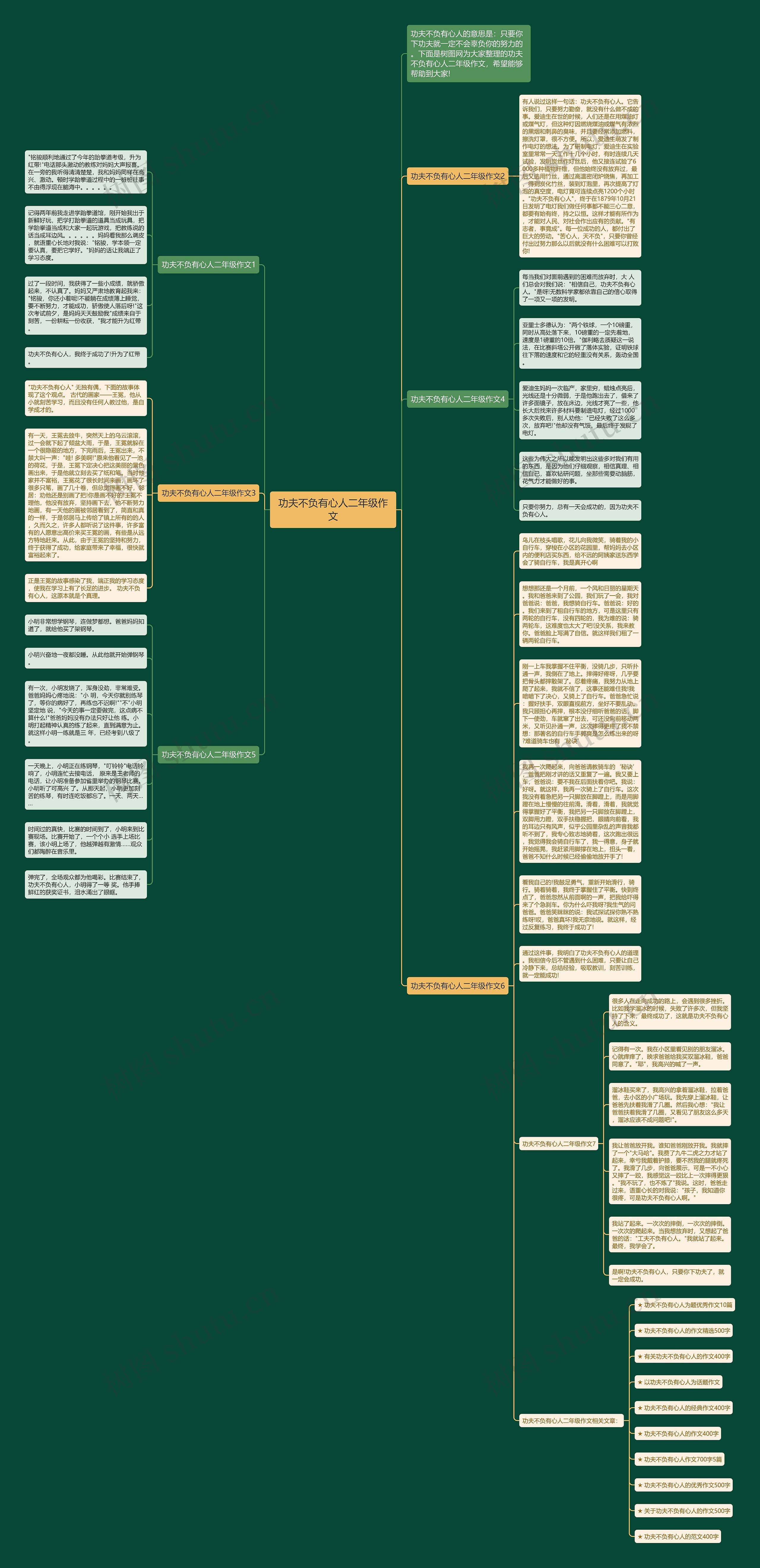 功夫不负有心人二年级作文思维导图