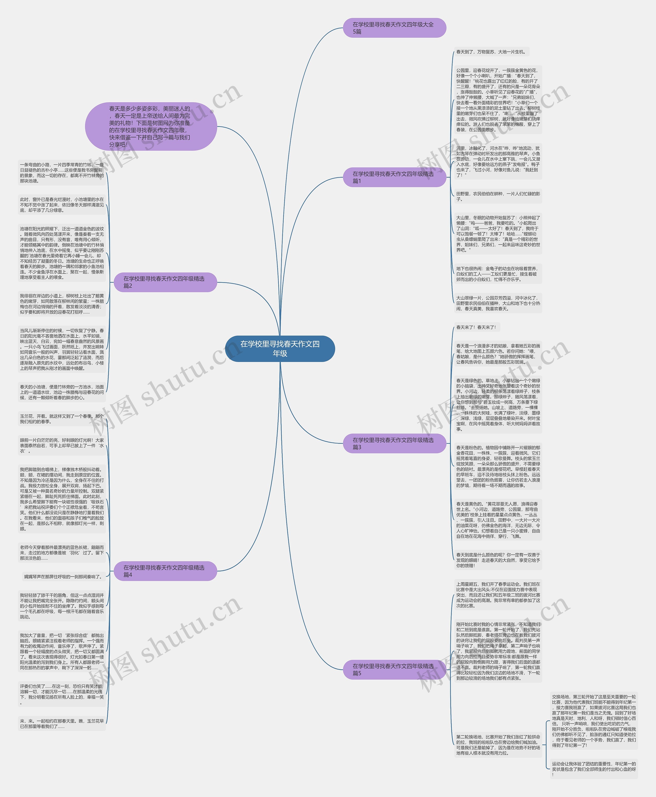 在学校里寻找春天作文四年级思维导图