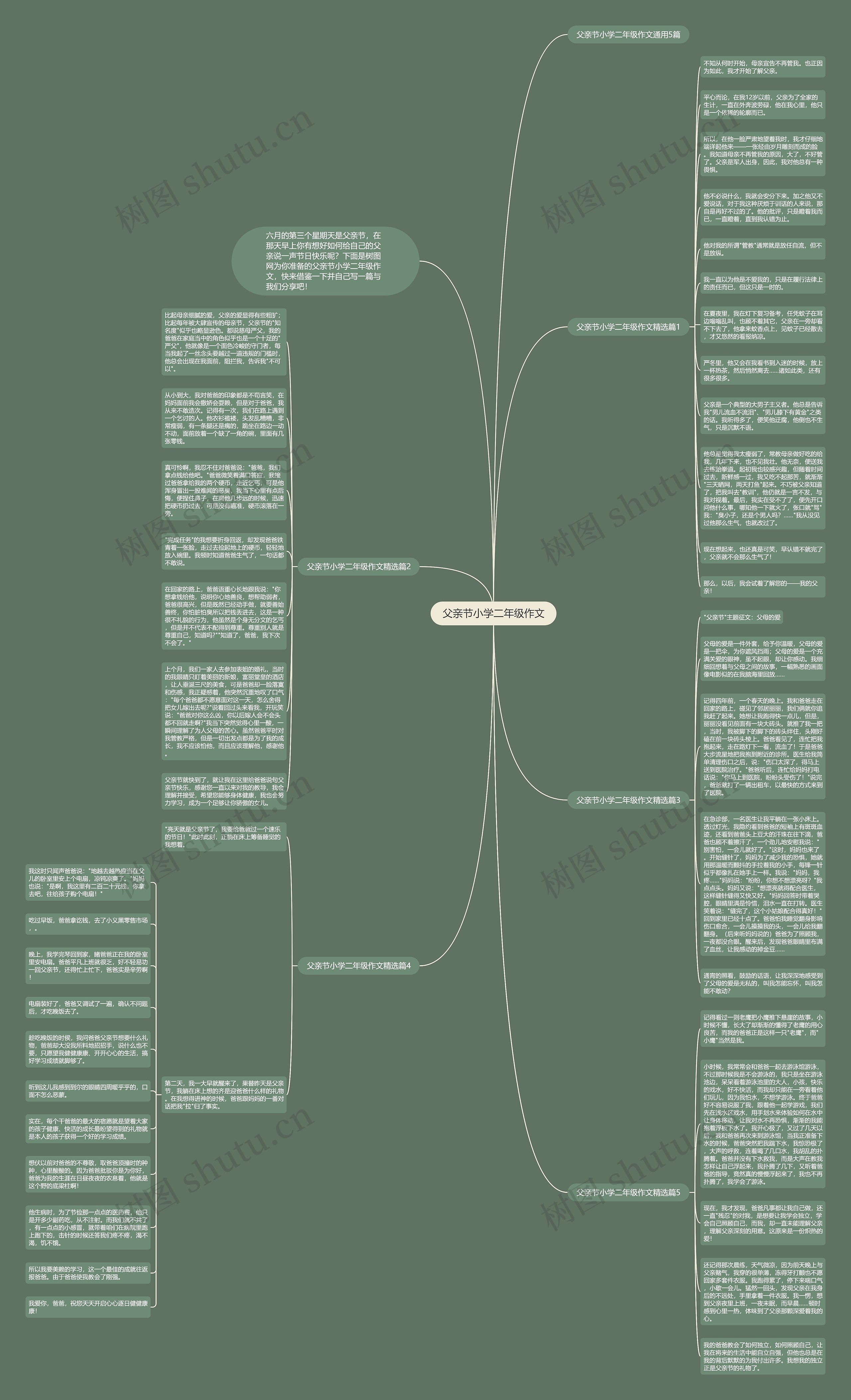 父亲节小学二年级作文思维导图