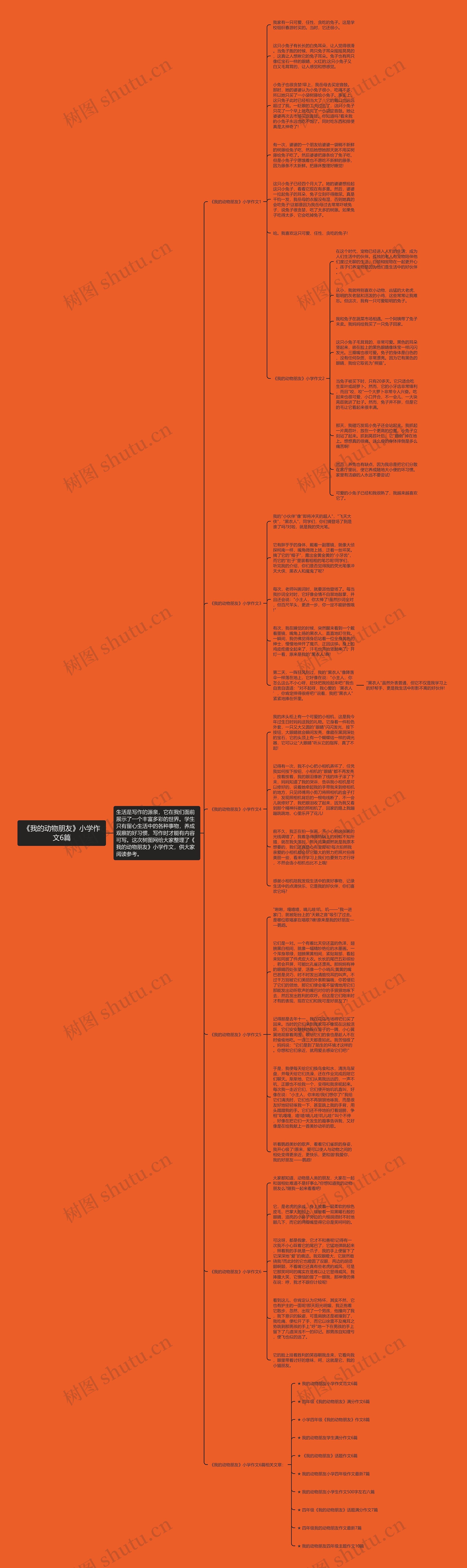 《我的动物朋友》小学作文6篇思维导图