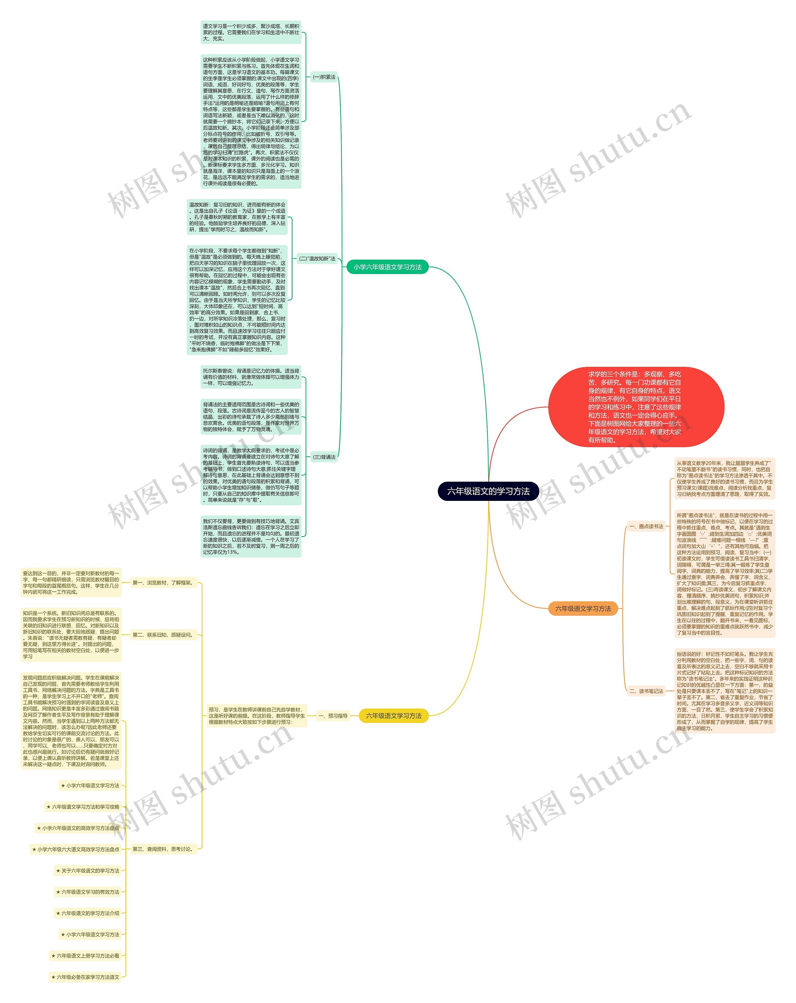 六年级语文的学习方法