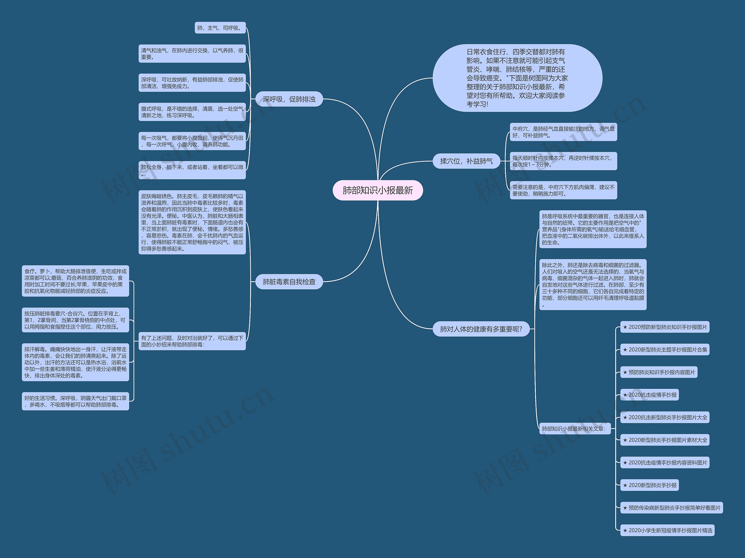 肺部知识小报最新思维导图