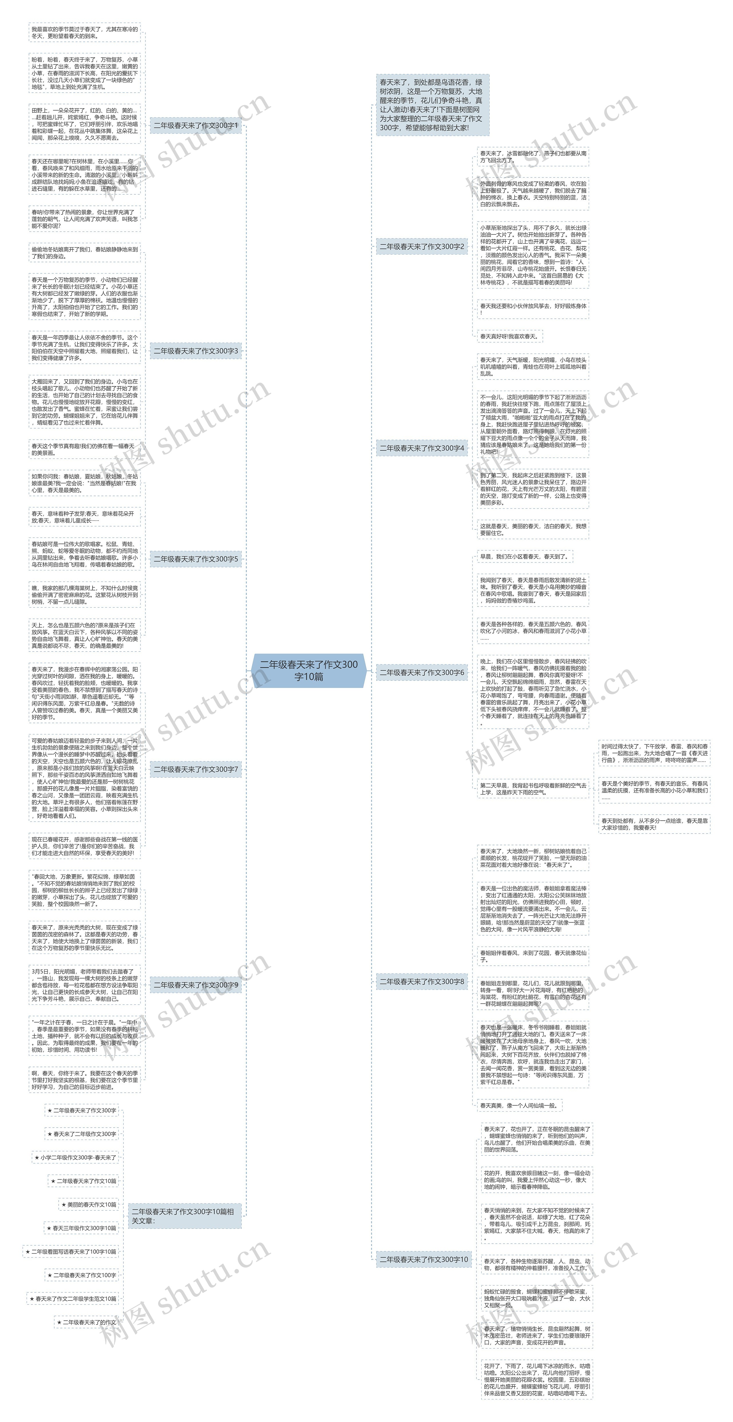 二年级春天来了作文300字10篇思维导图
