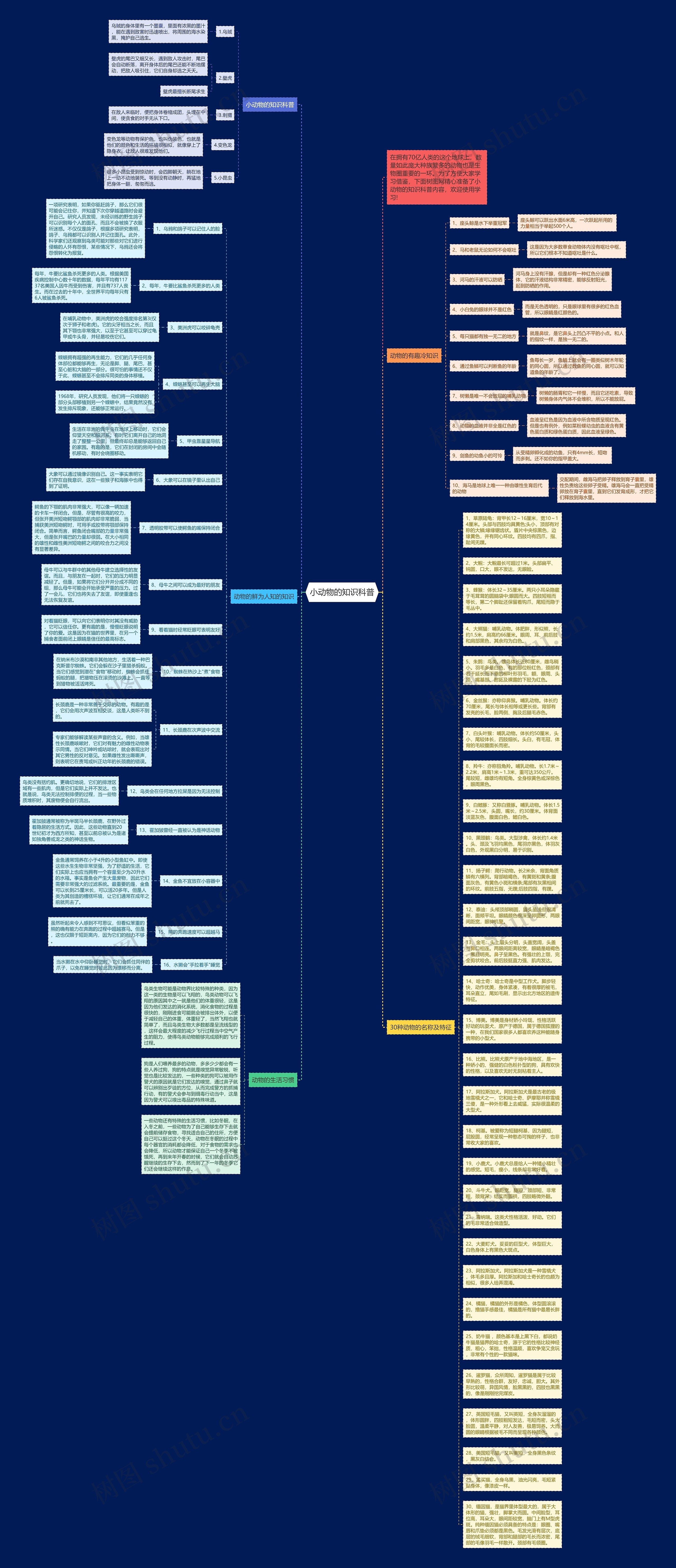 小动物的知识科普思维导图