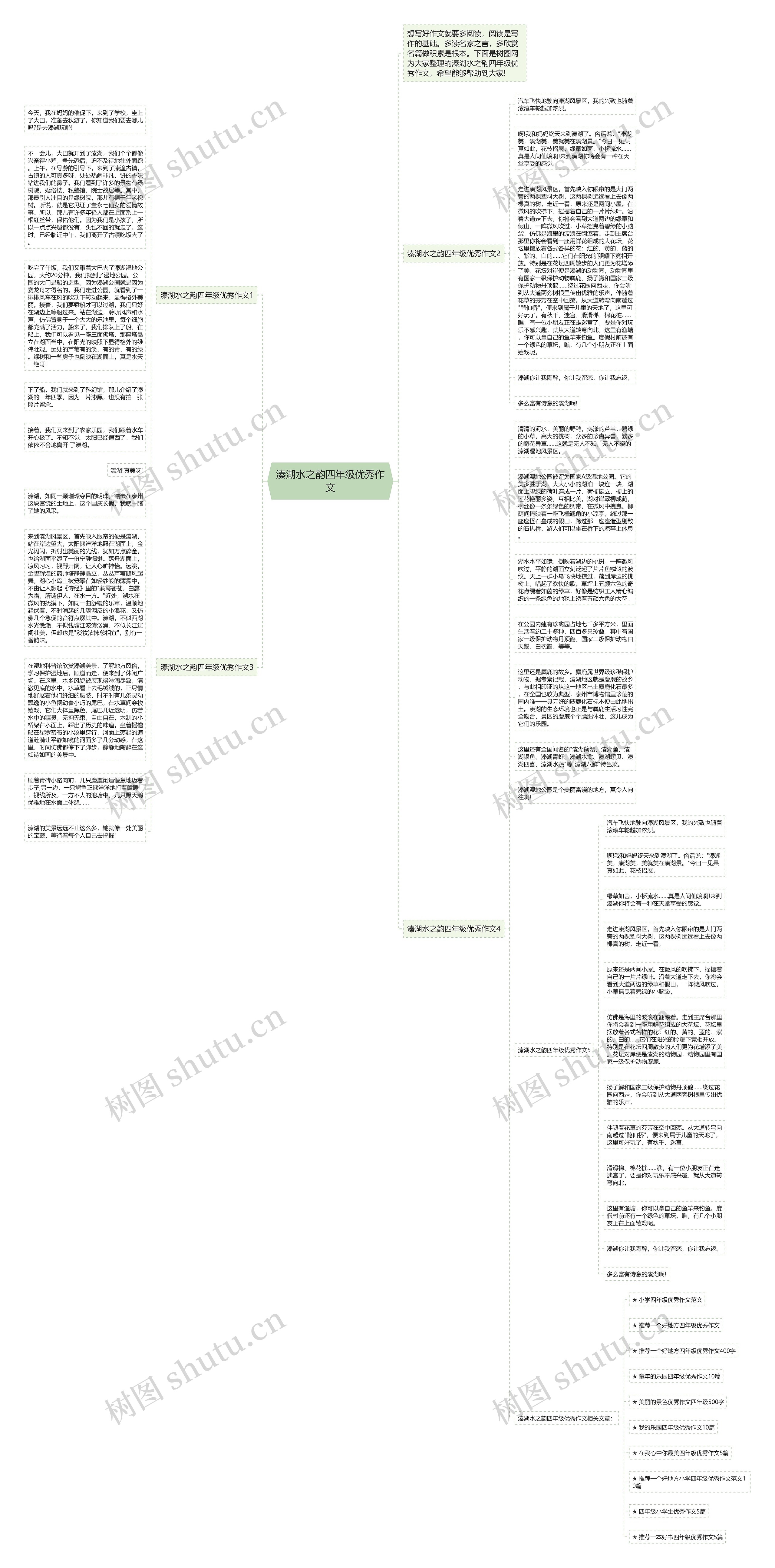 溱湖水之韵四年级优秀作文