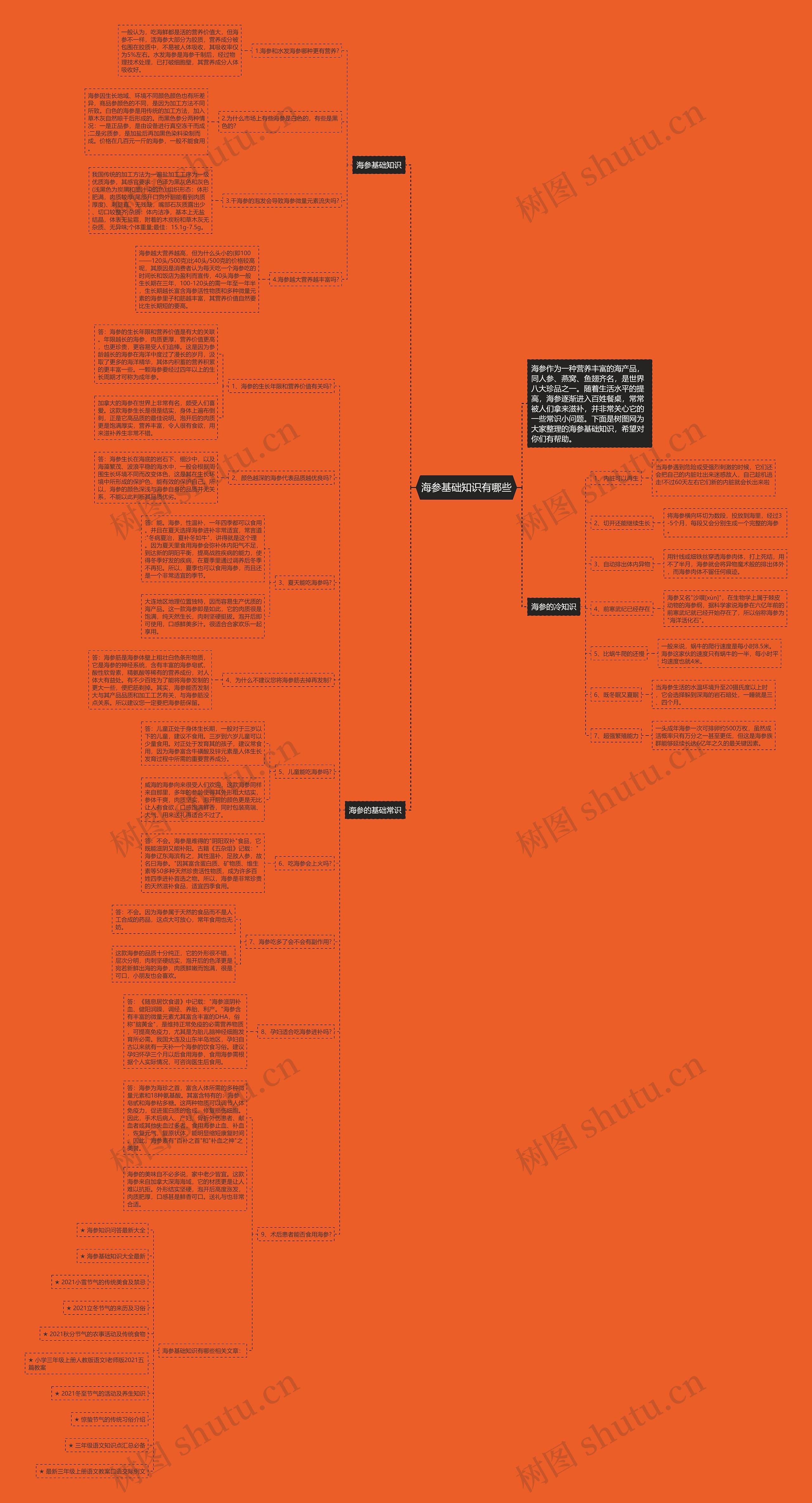 海参基础知识有哪些思维导图