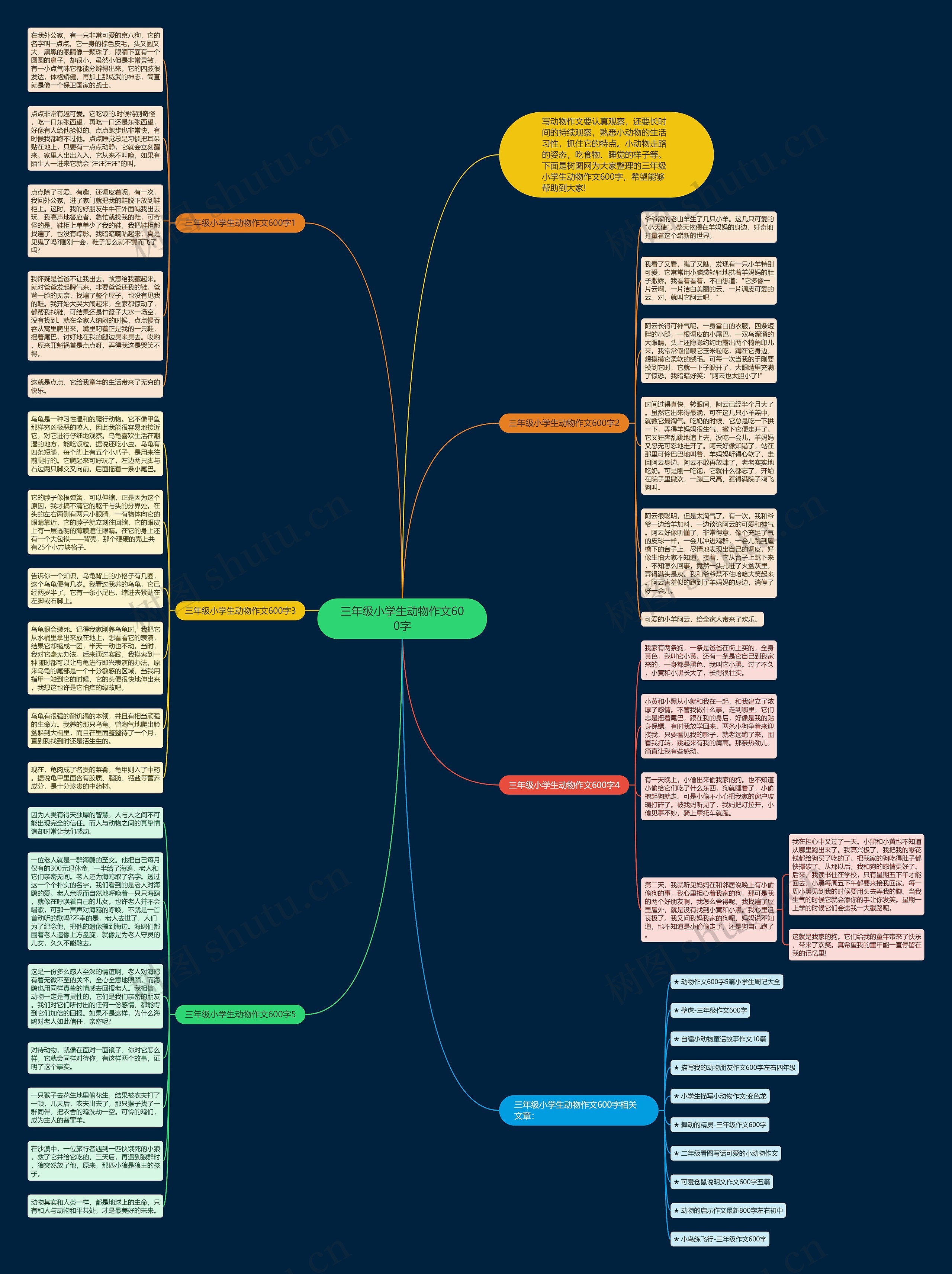 三年级小学生动物作文600字思维导图