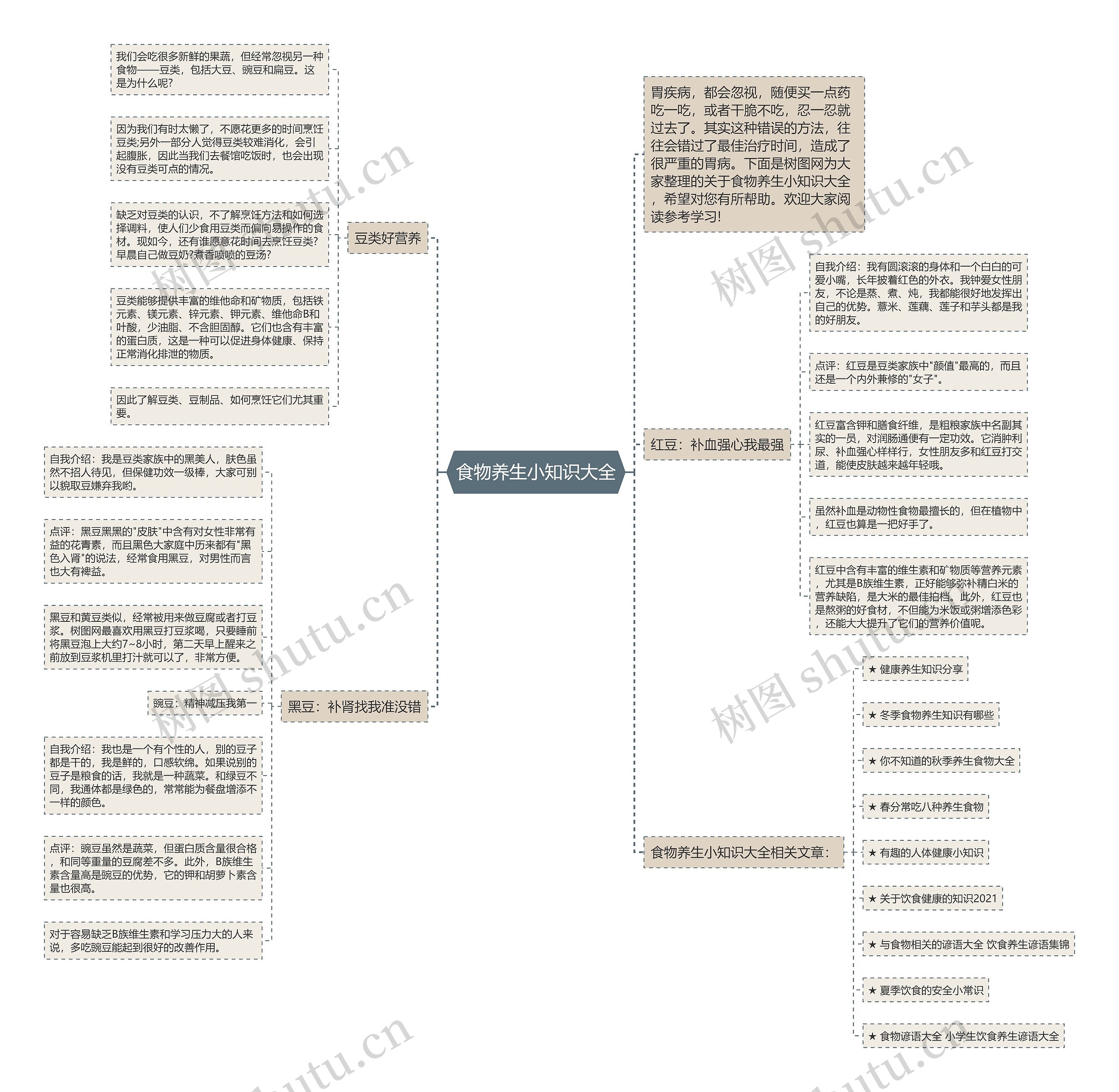 食物养生小知识大全思维导图