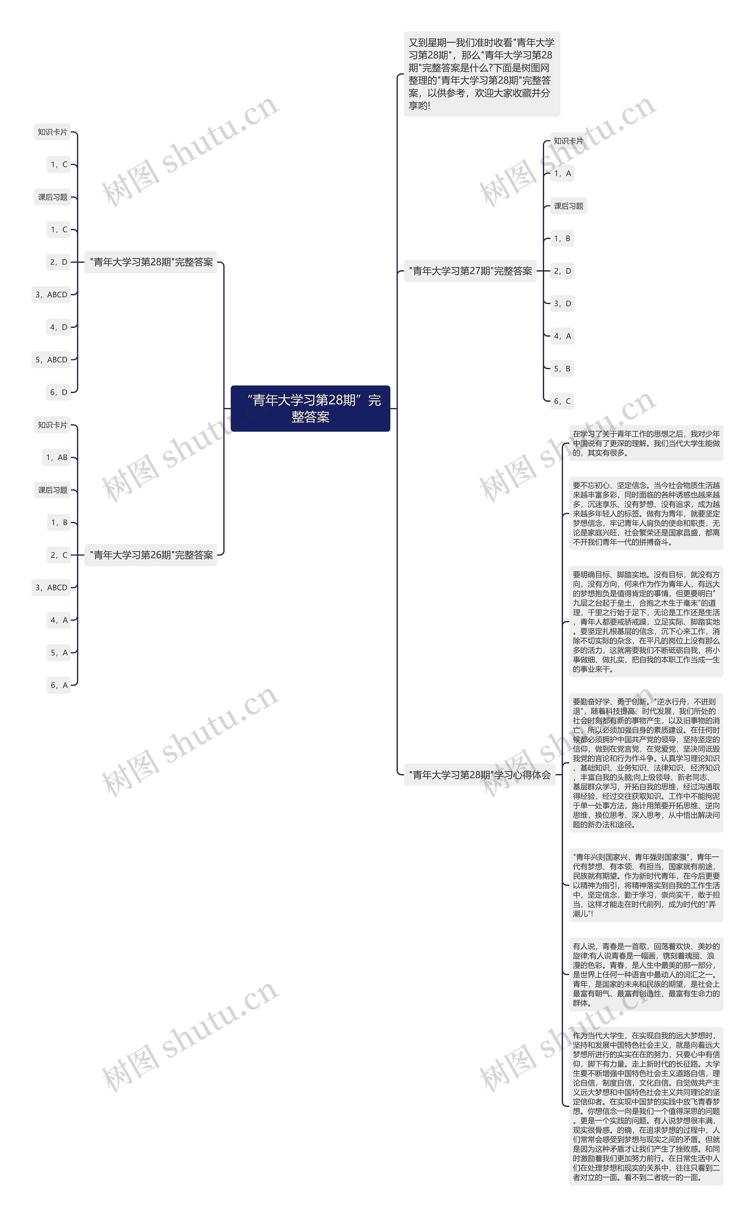 “青年大学习第28期”完整答案思维导图