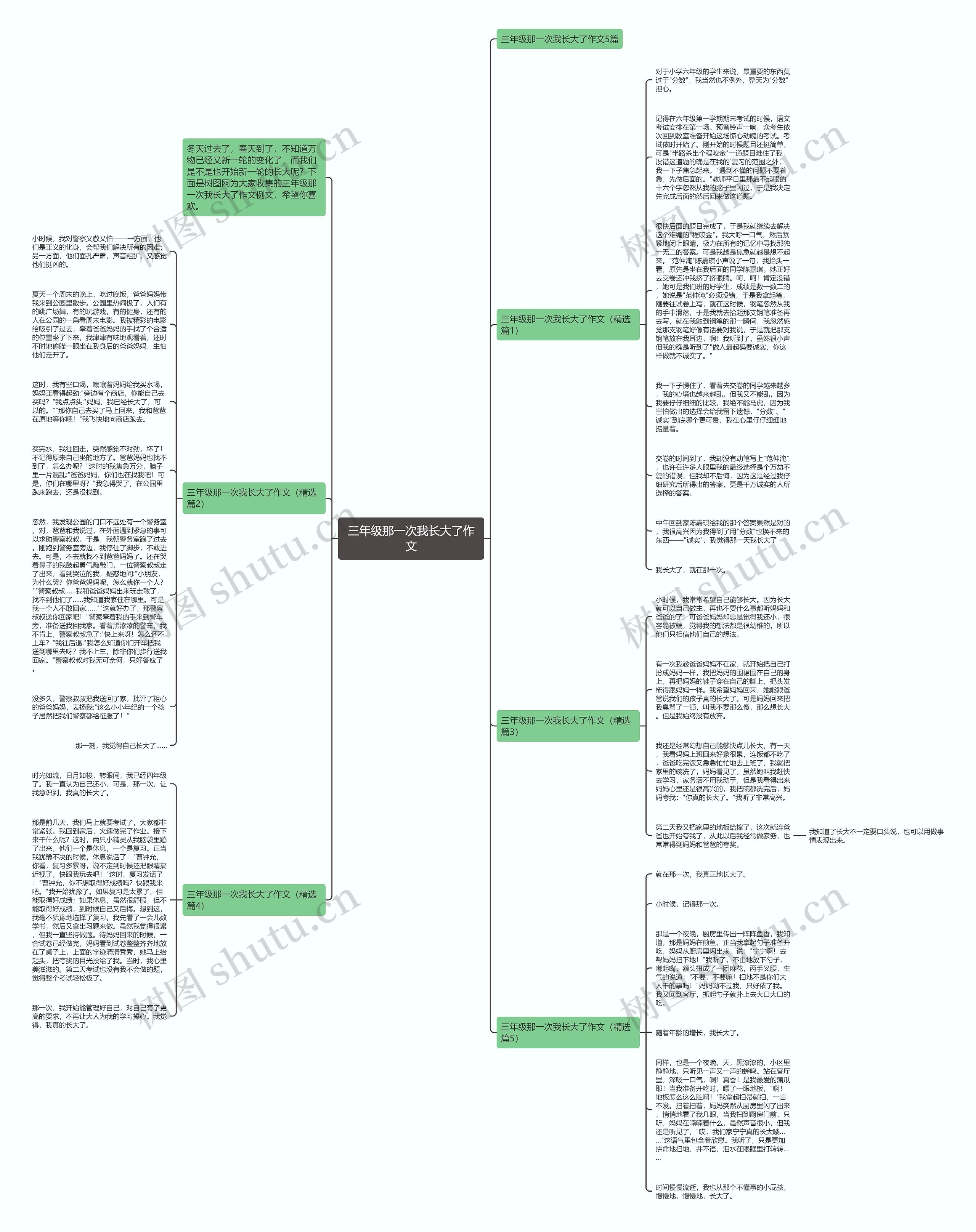 三年级那一次我长大了作文思维导图
