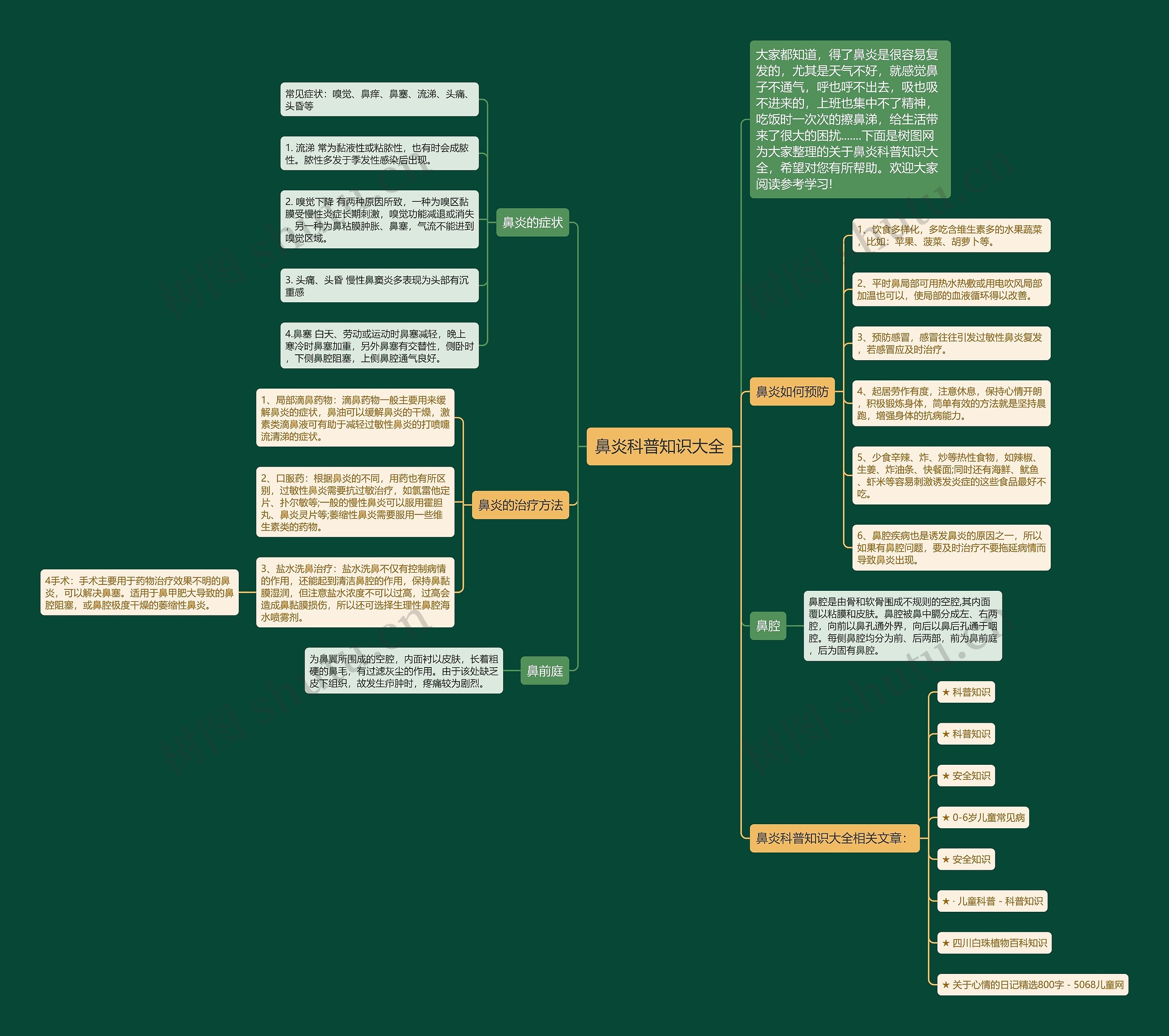 鼻炎科普知识大全思维导图