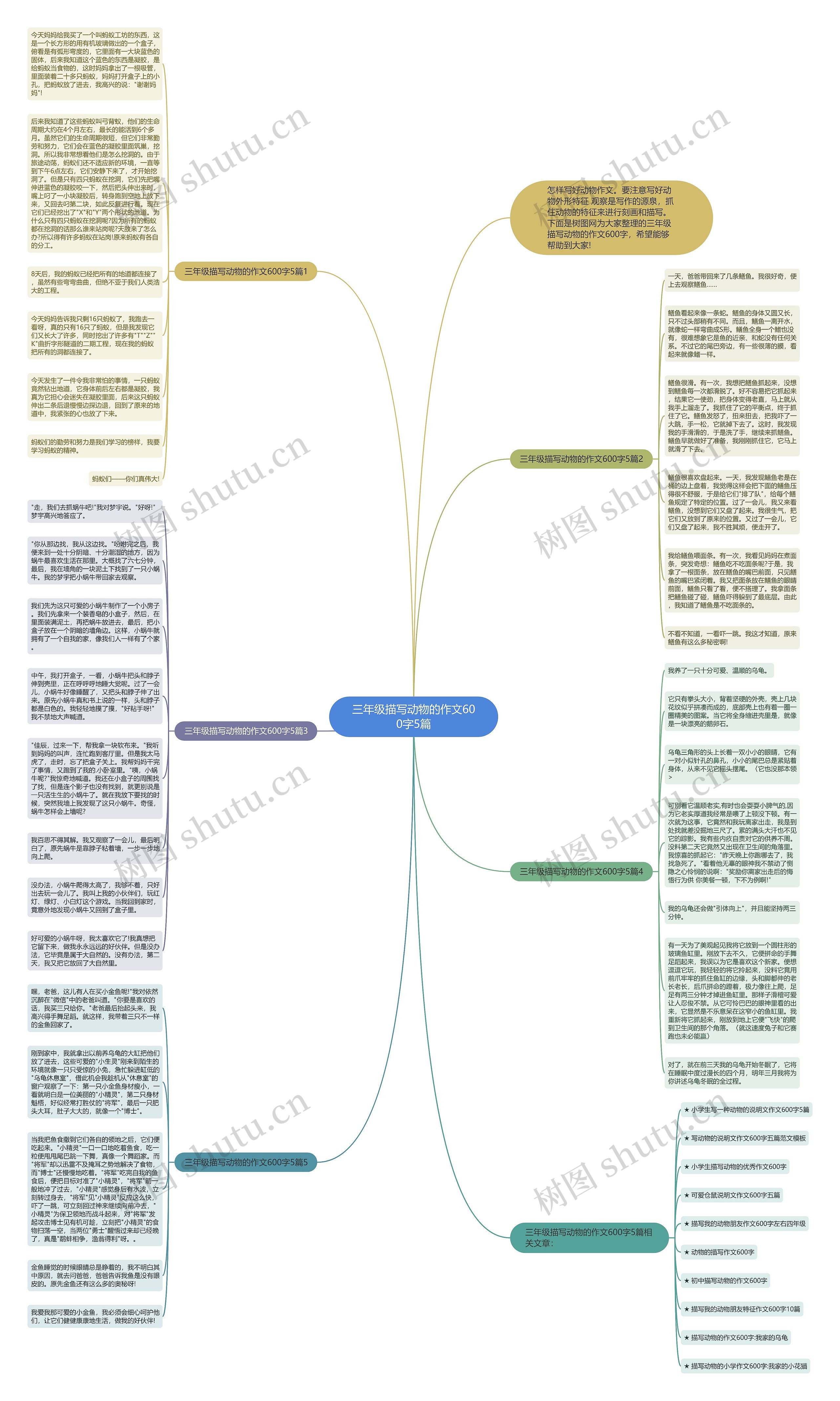 三年级描写动物的作文600字5篇思维导图