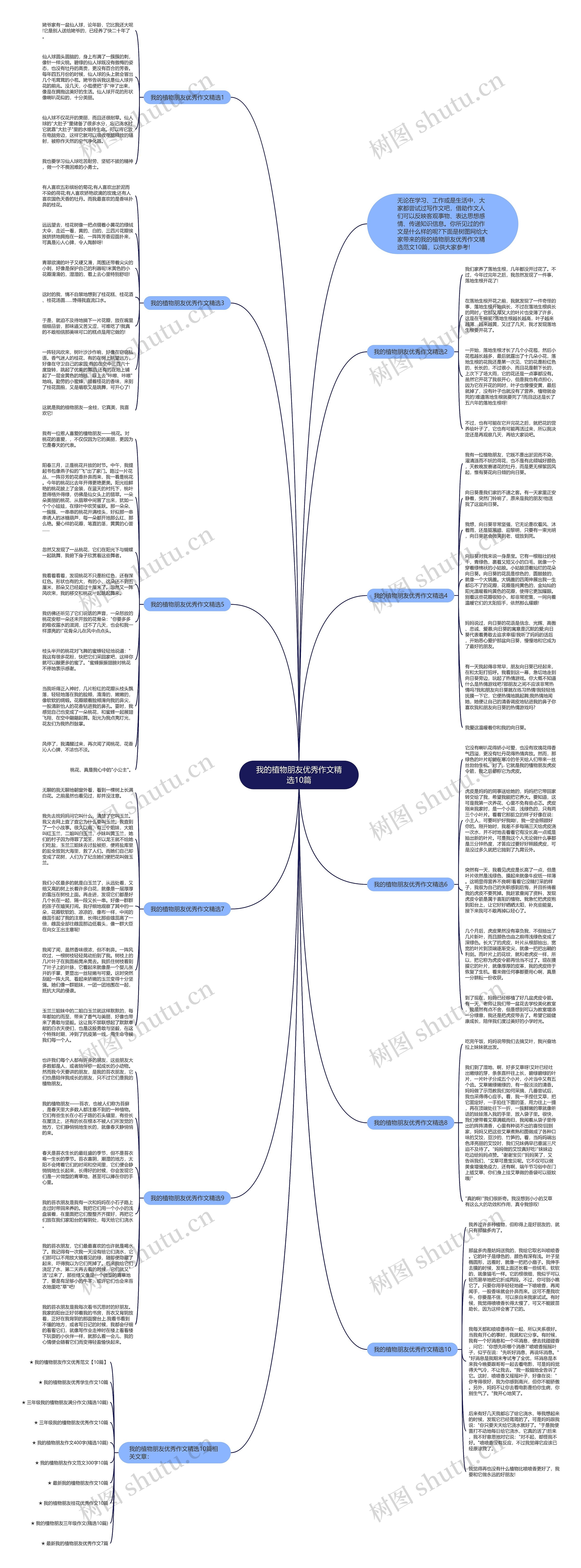 我的植物朋友优秀作文精选10篇思维导图