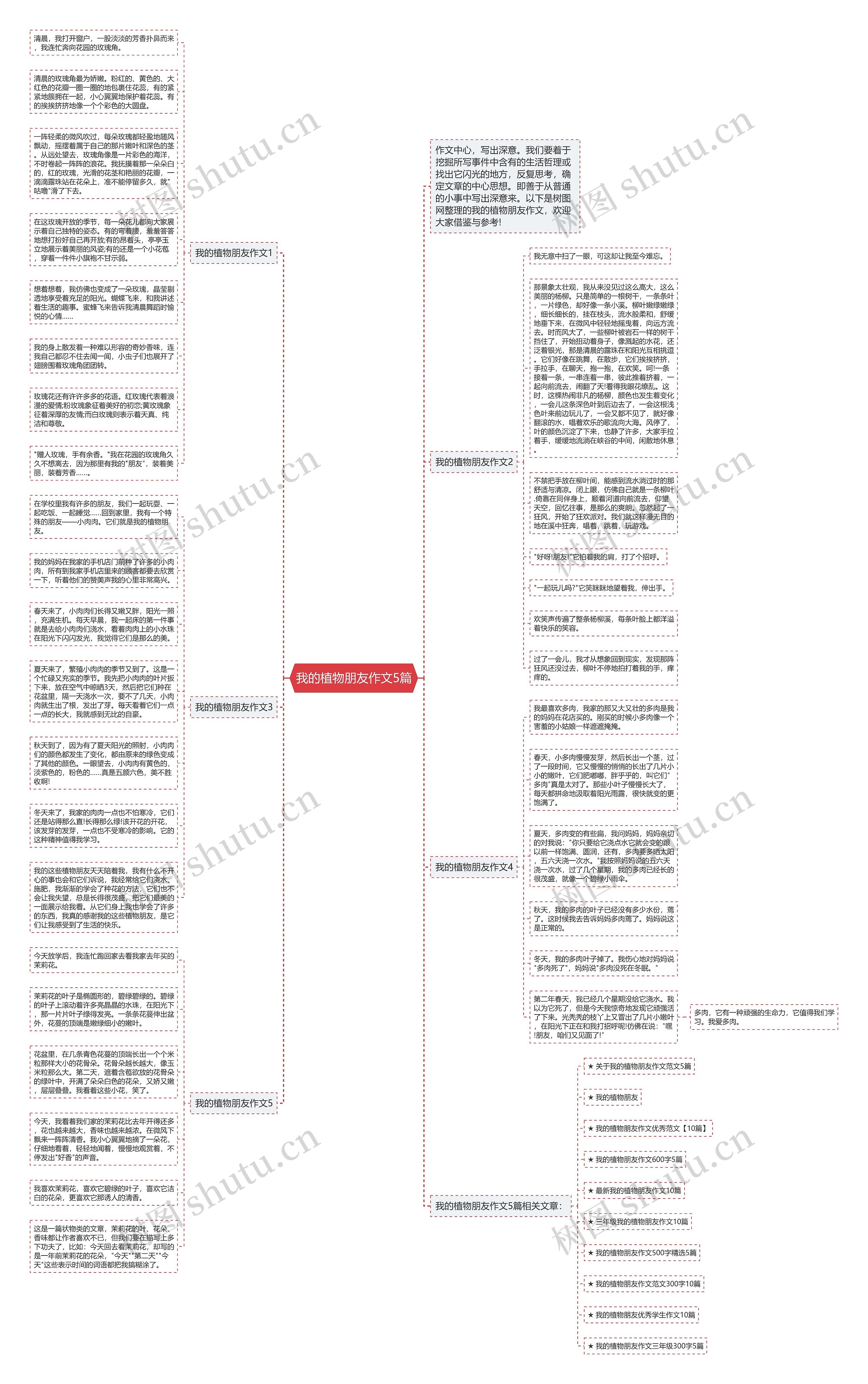 我的植物朋友作文5篇思维导图