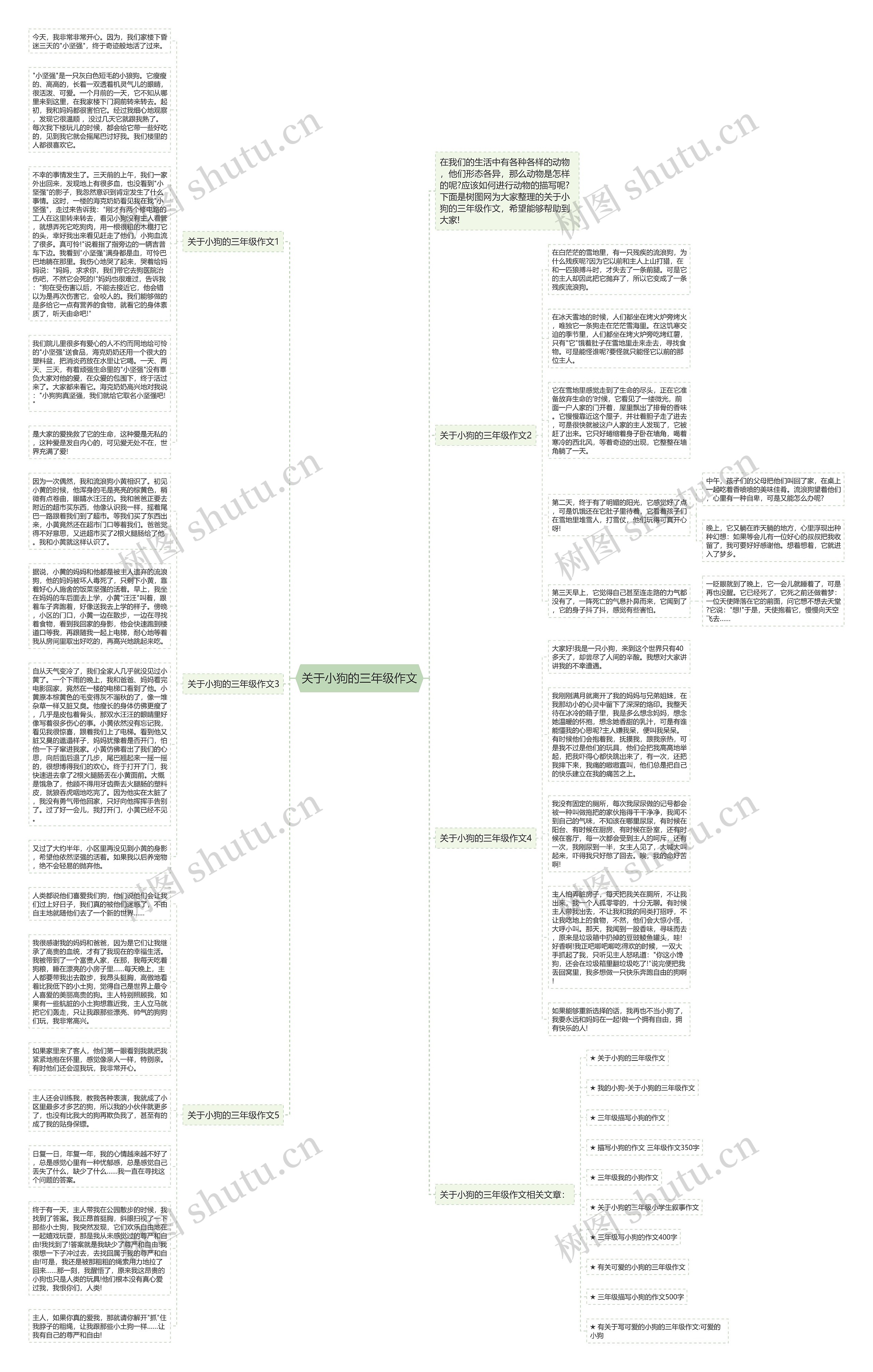 关于小狗的三年级作文思维导图