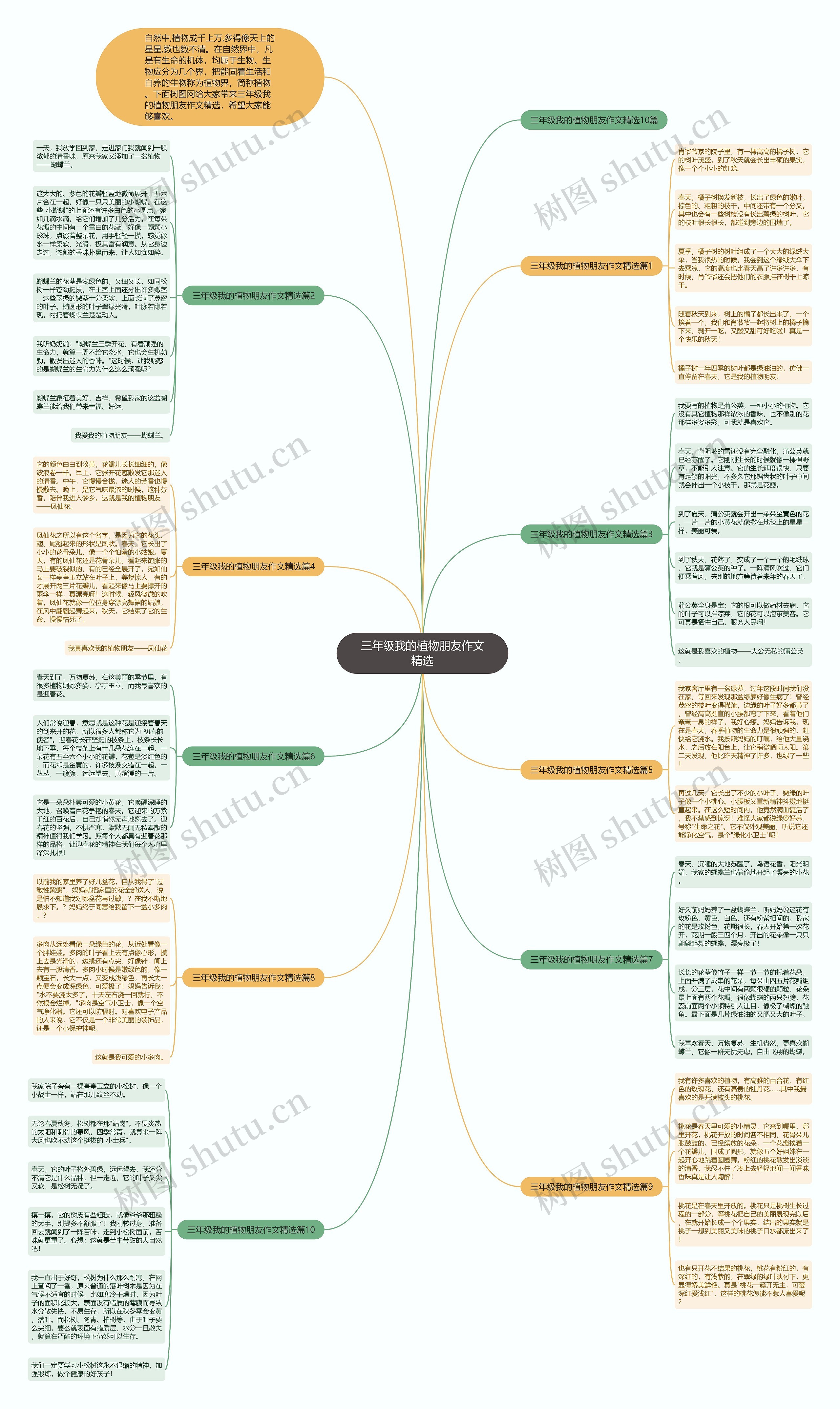 三年级我的植物朋友作文精选思维导图