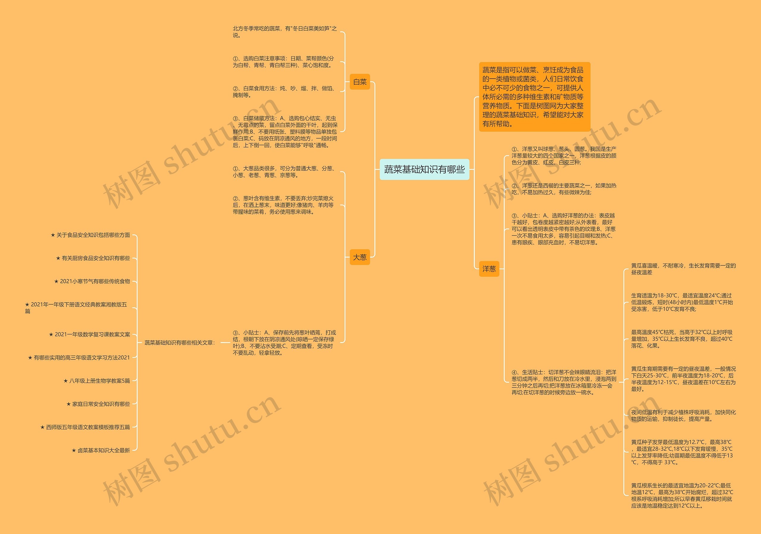 蔬菜基础知识有哪些思维导图