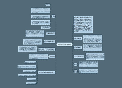 潮汕牛肉小知识最新