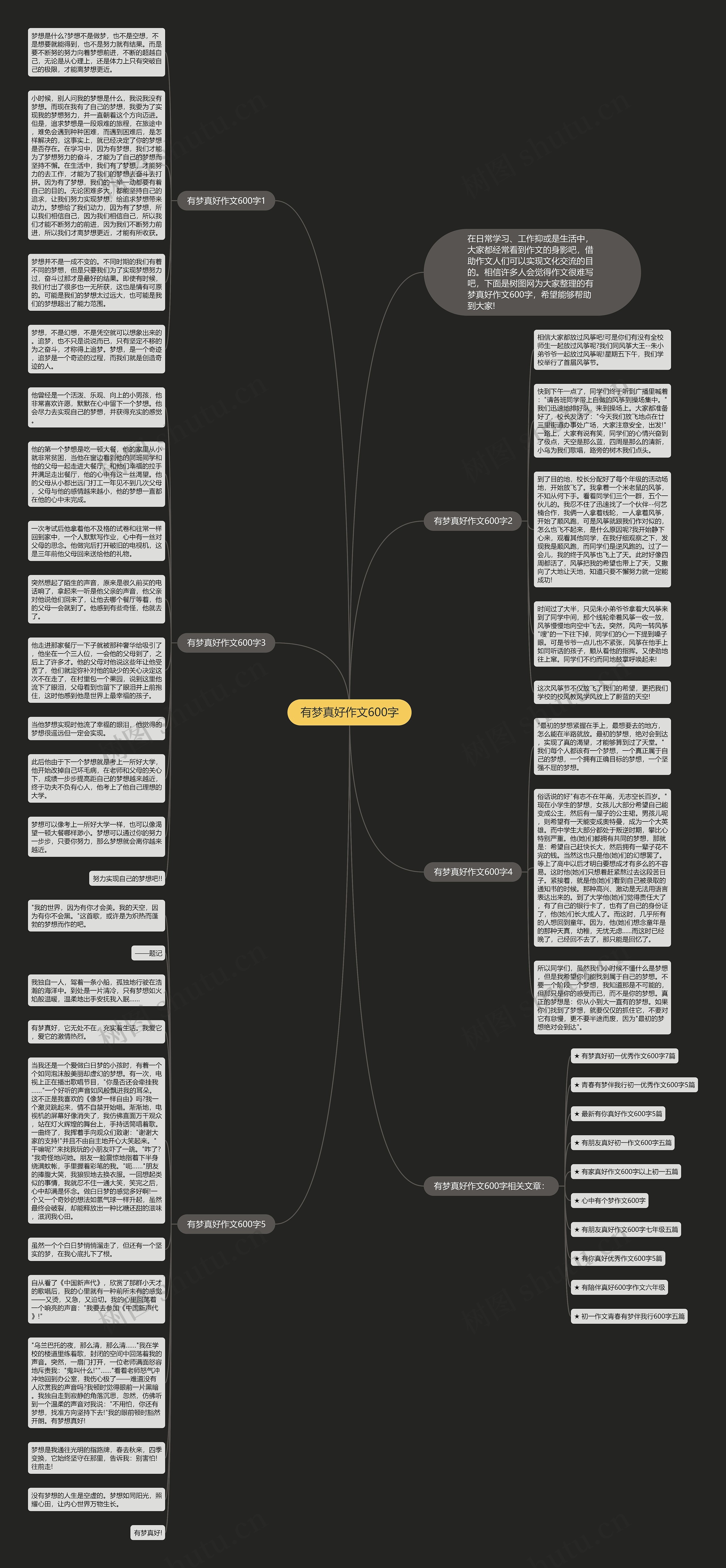 有梦真好作文600字思维导图