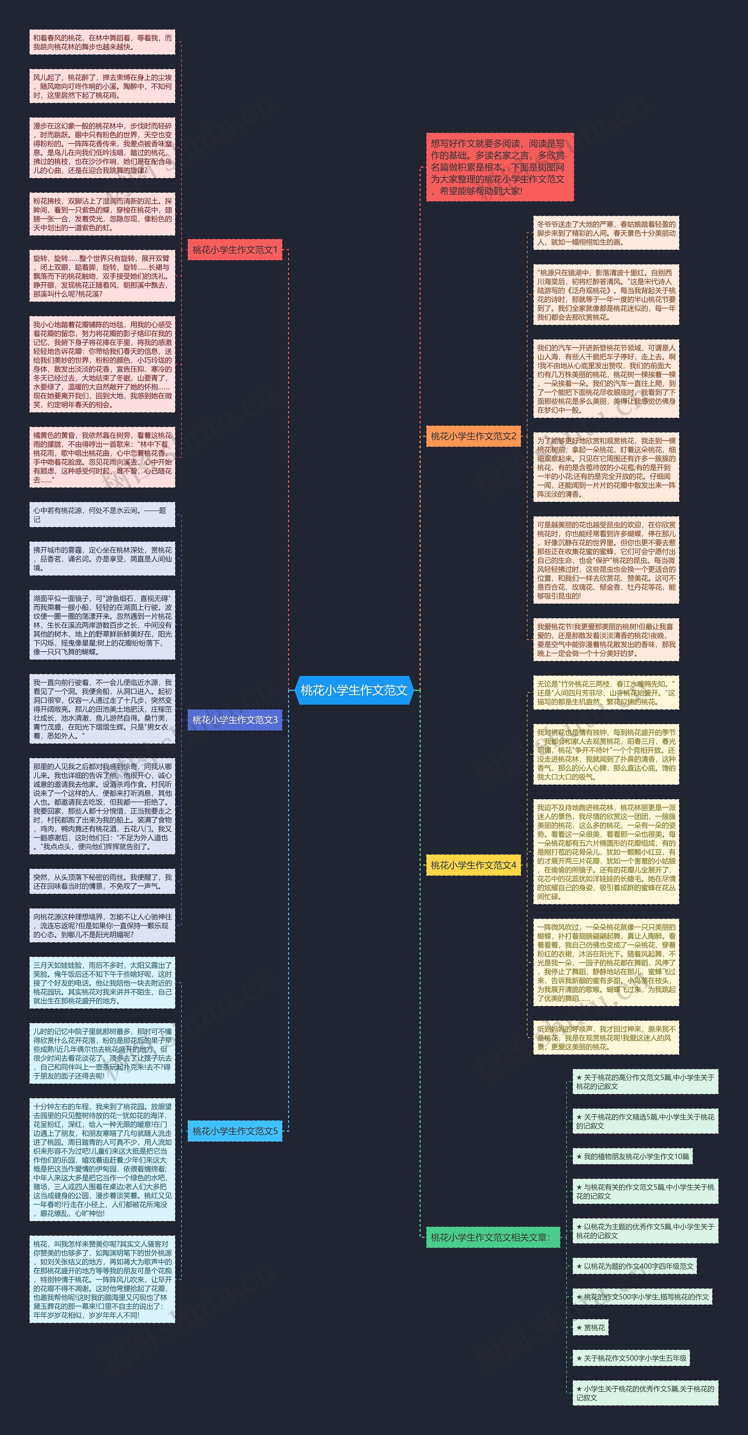 桃花小学生作文范文思维导图