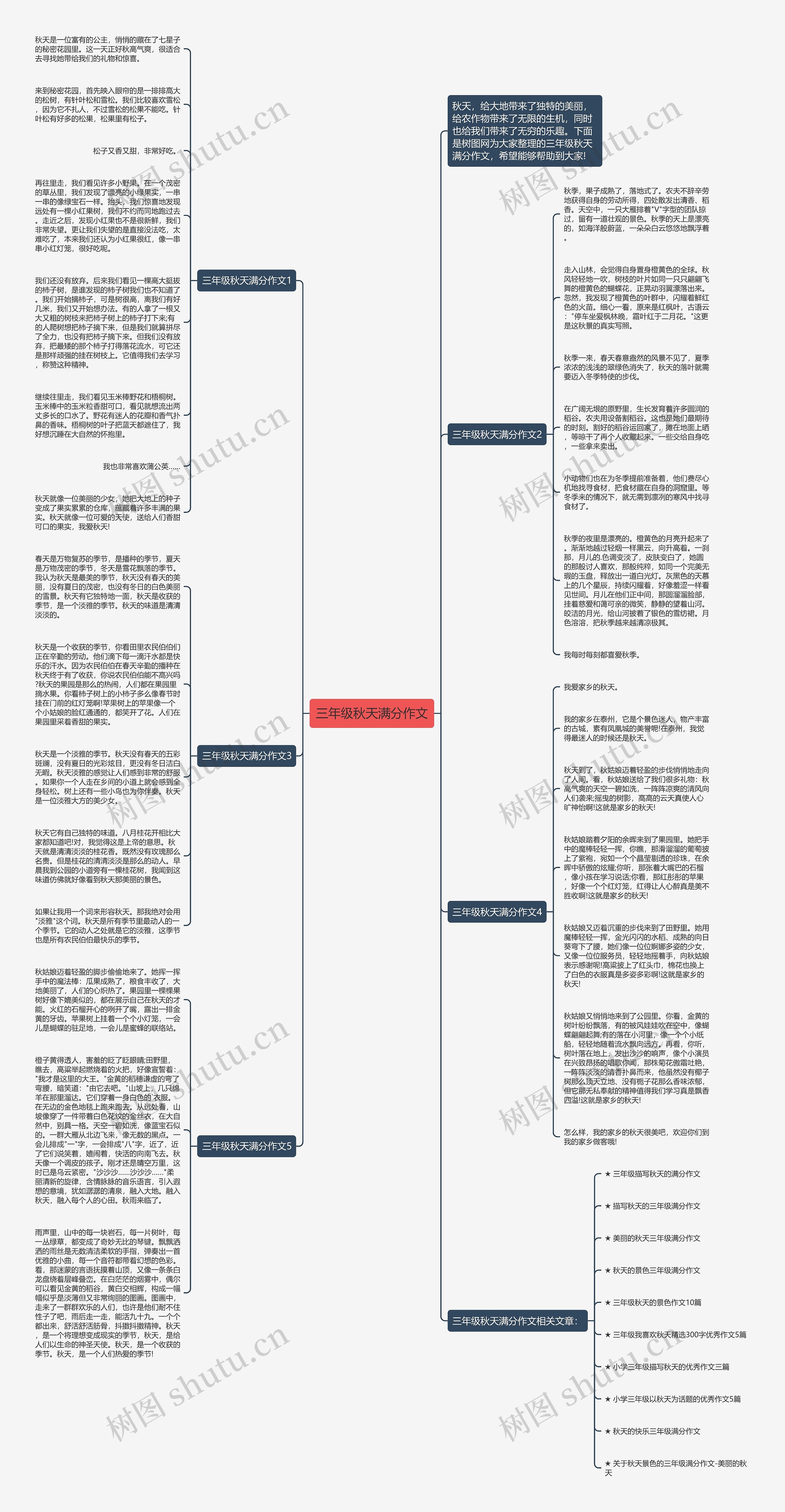 三年级秋天满分作文思维导图