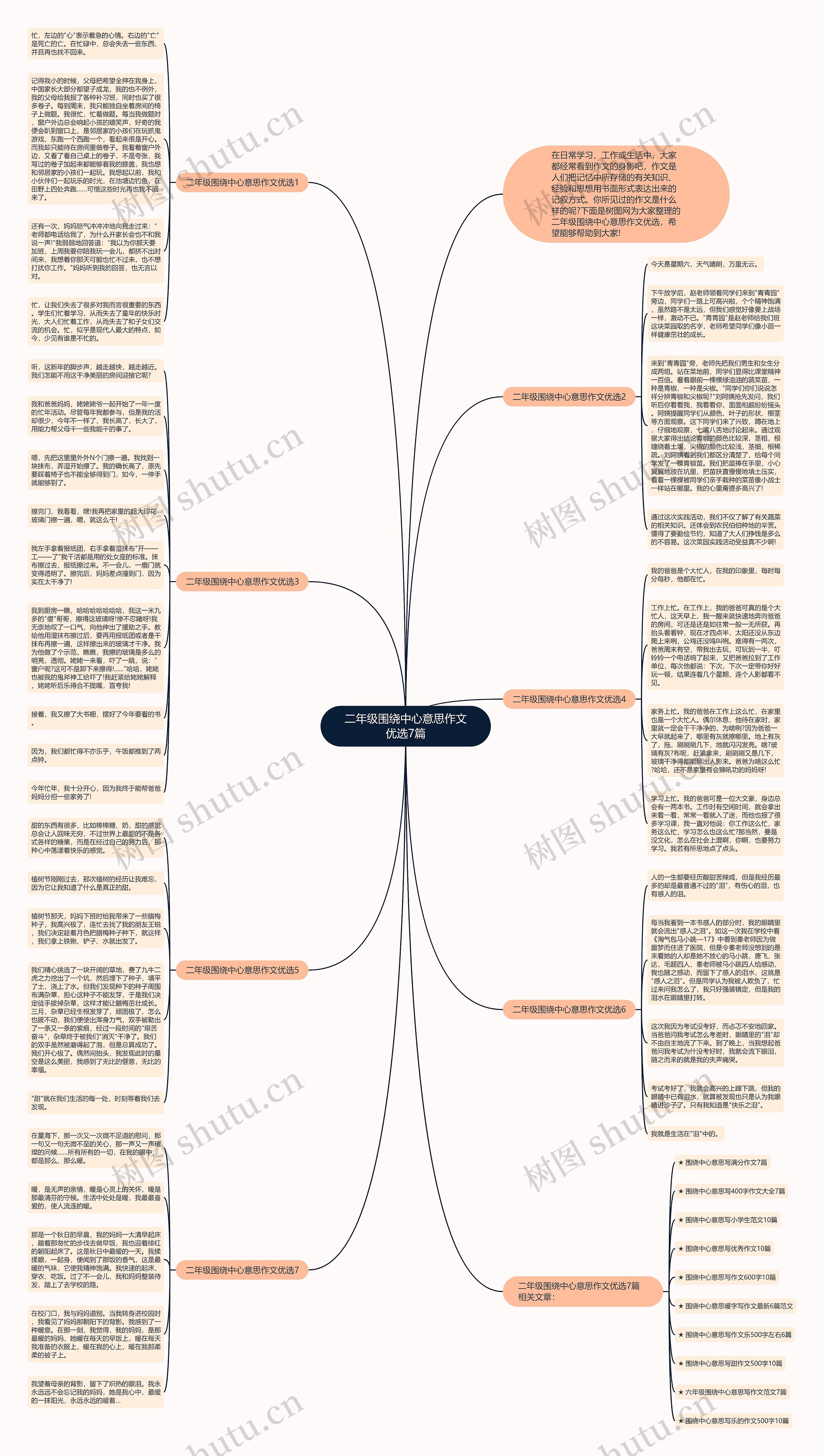 二年级围绕中心意思作文优选7篇思维导图