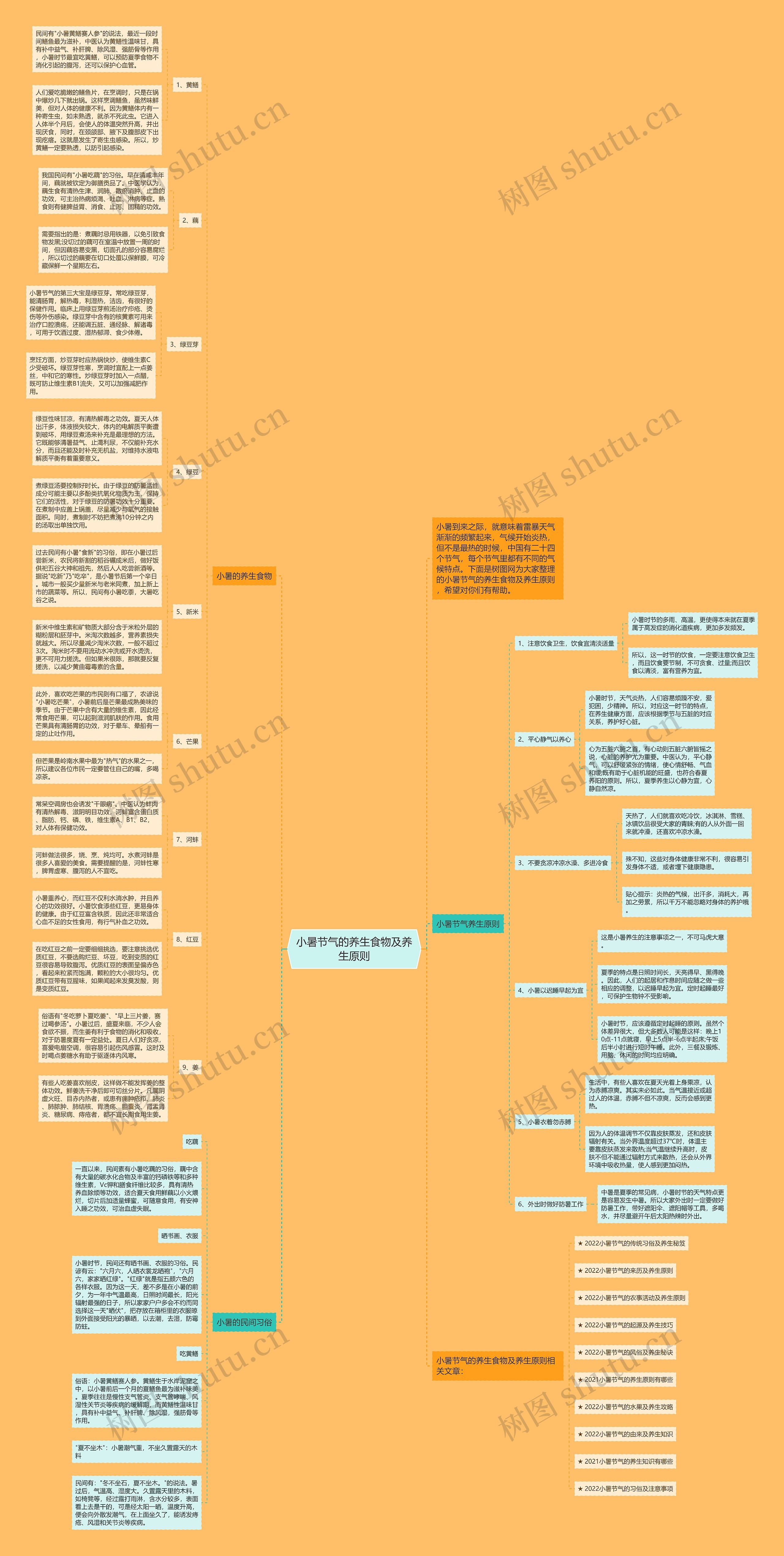 小暑节气的养生食物及养生原则思维导图