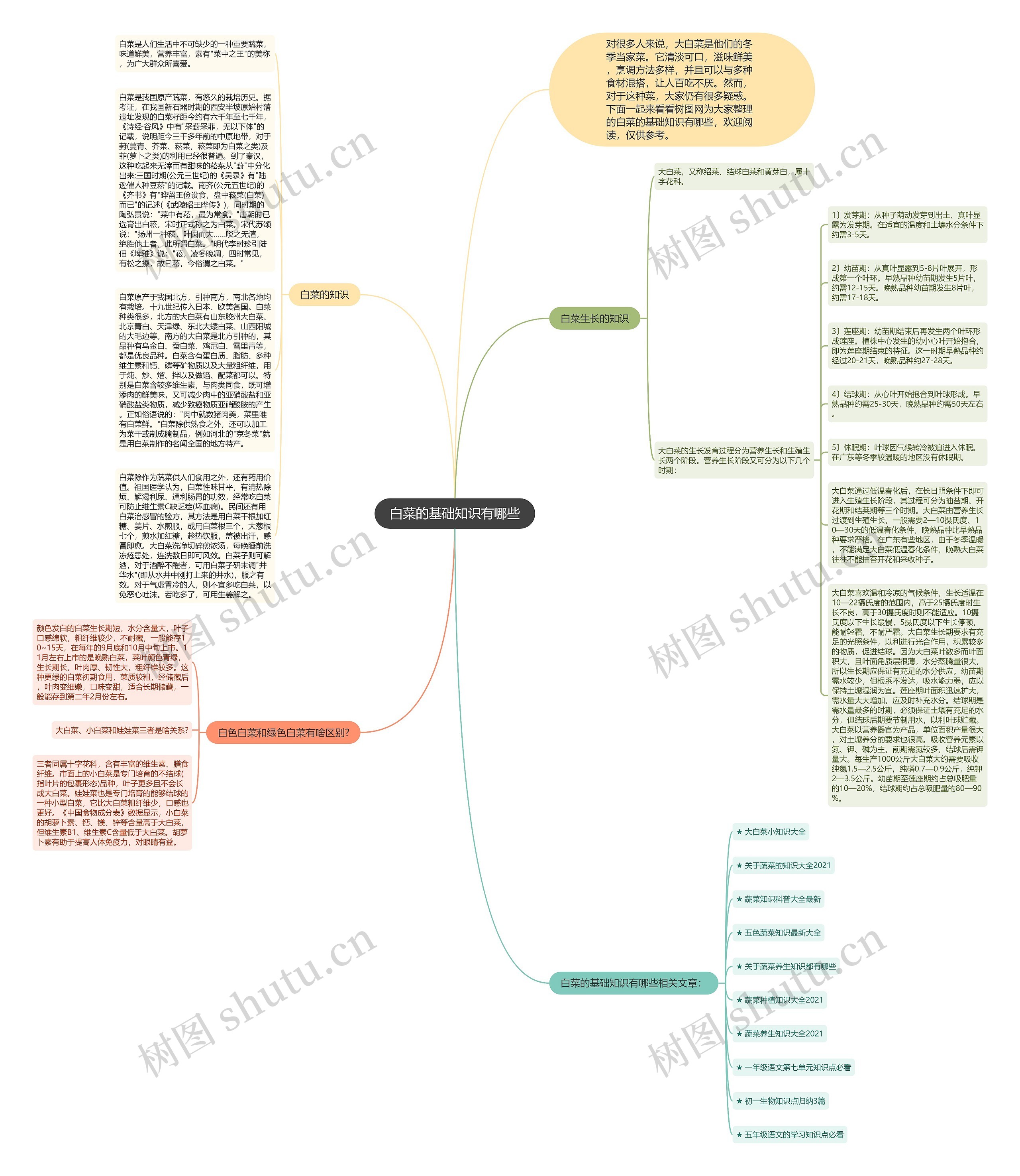 白菜的基础知识有哪些思维导图