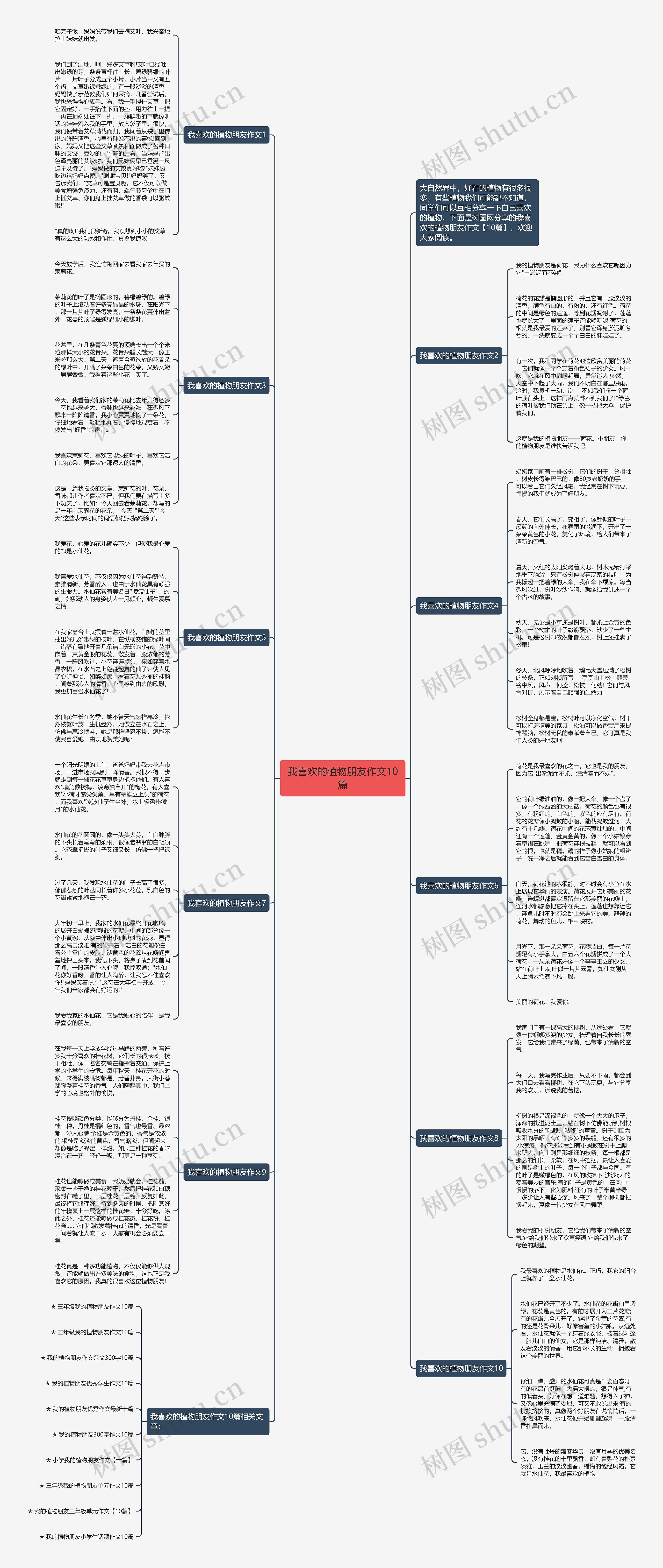 我喜欢的植物朋友作文10篇思维导图
