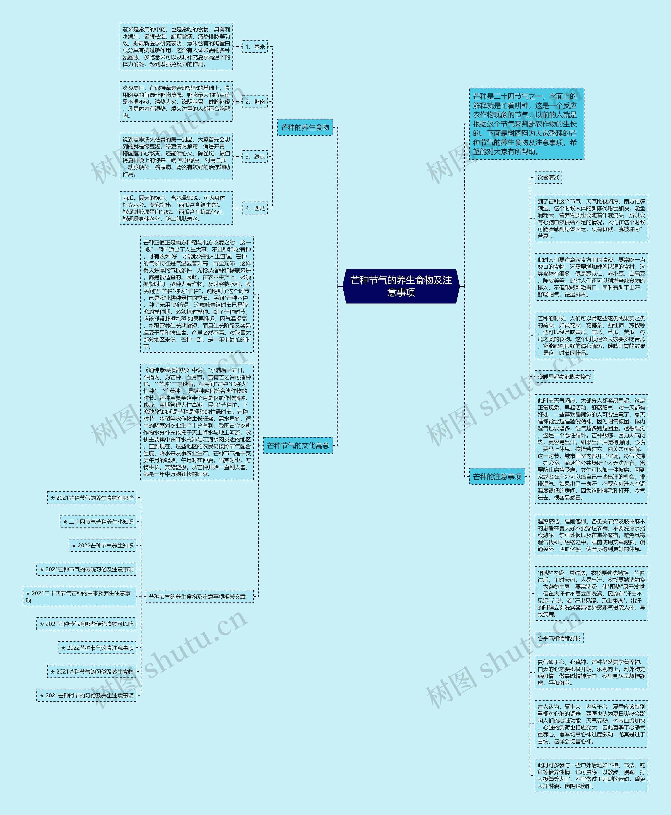 芒种节气的养生食物及注意事项思维导图