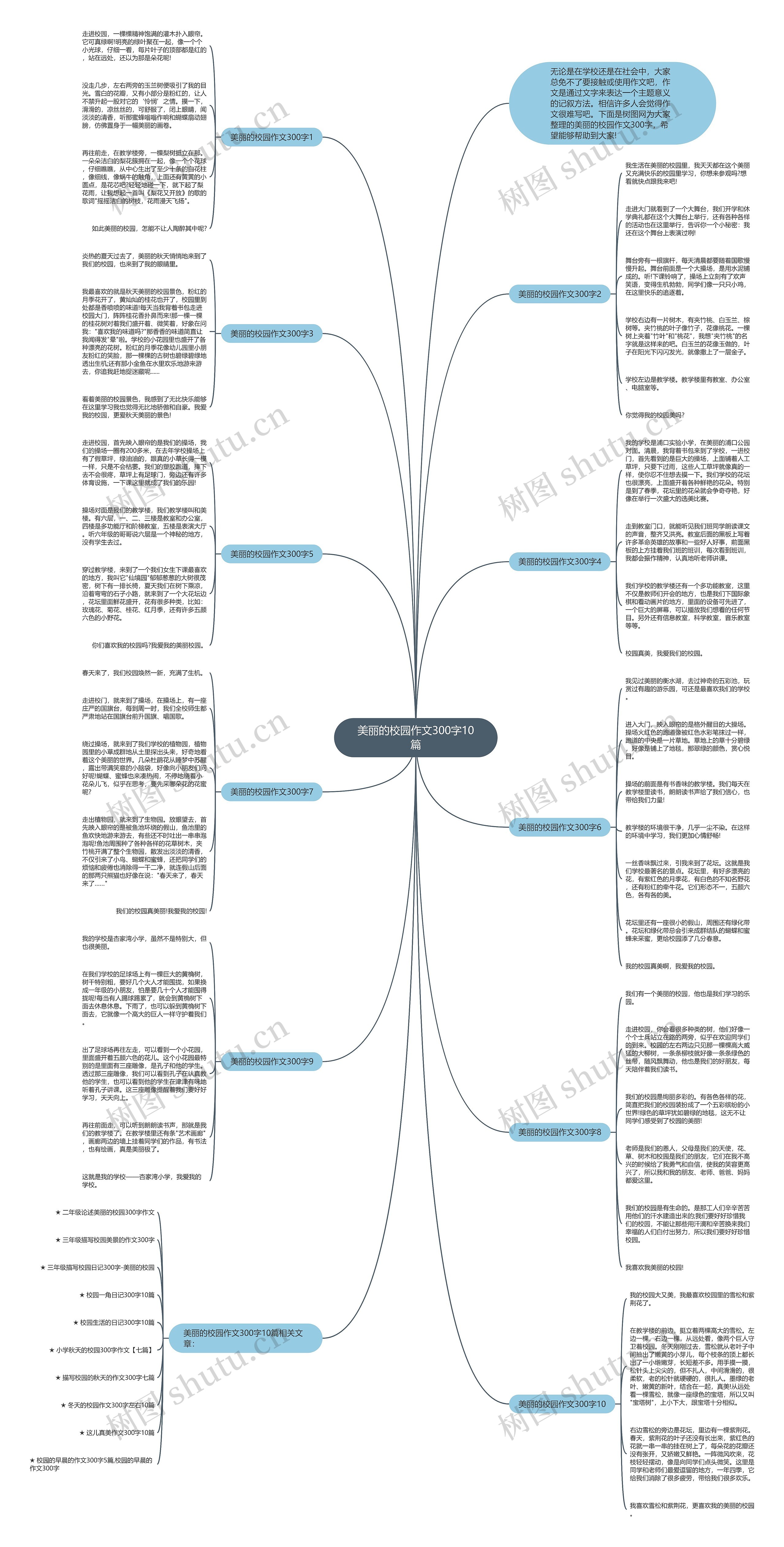 美丽的校园作文300字10篇思维导图