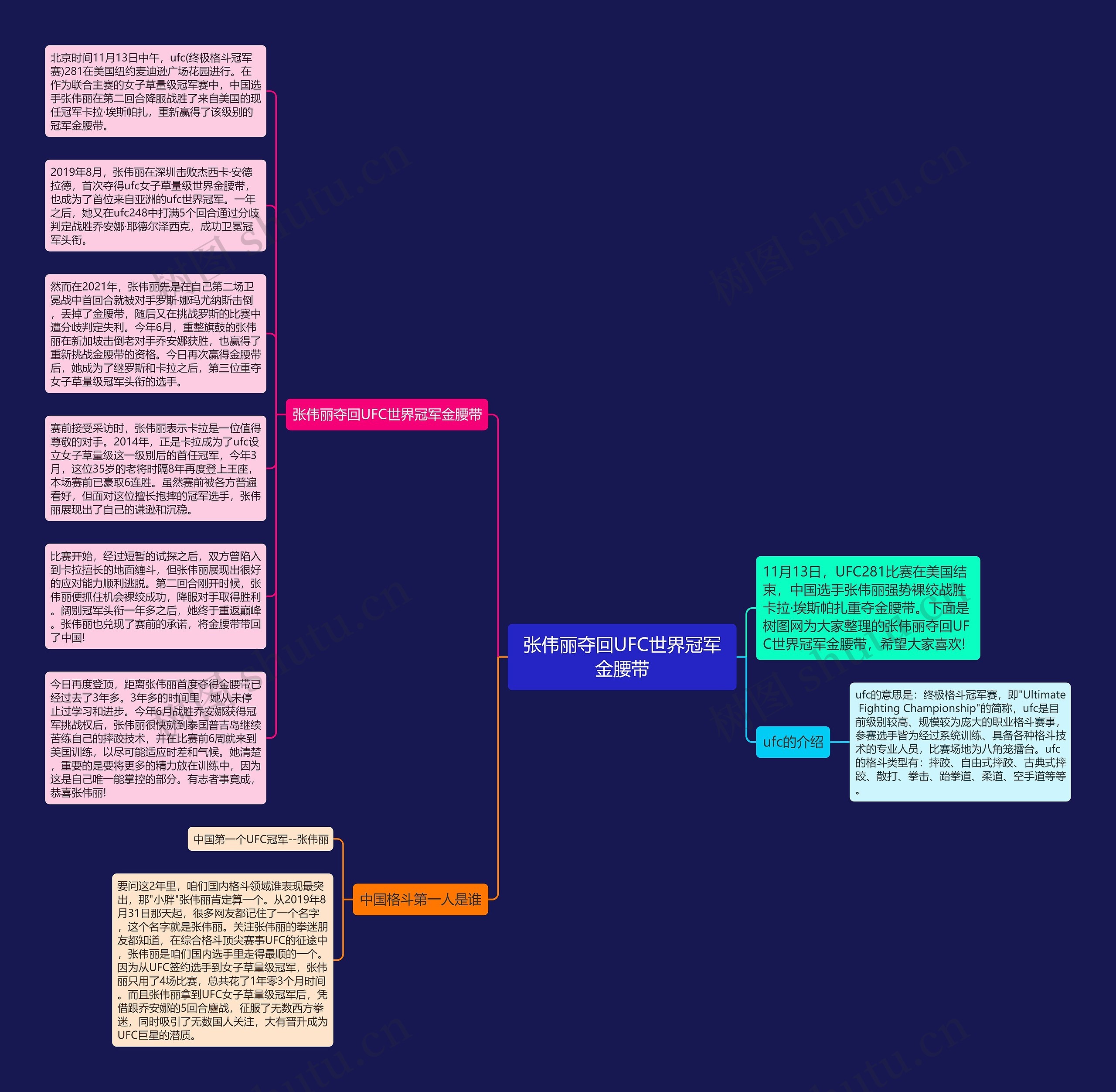 张伟丽夺回UFC世界冠军金腰带思维导图