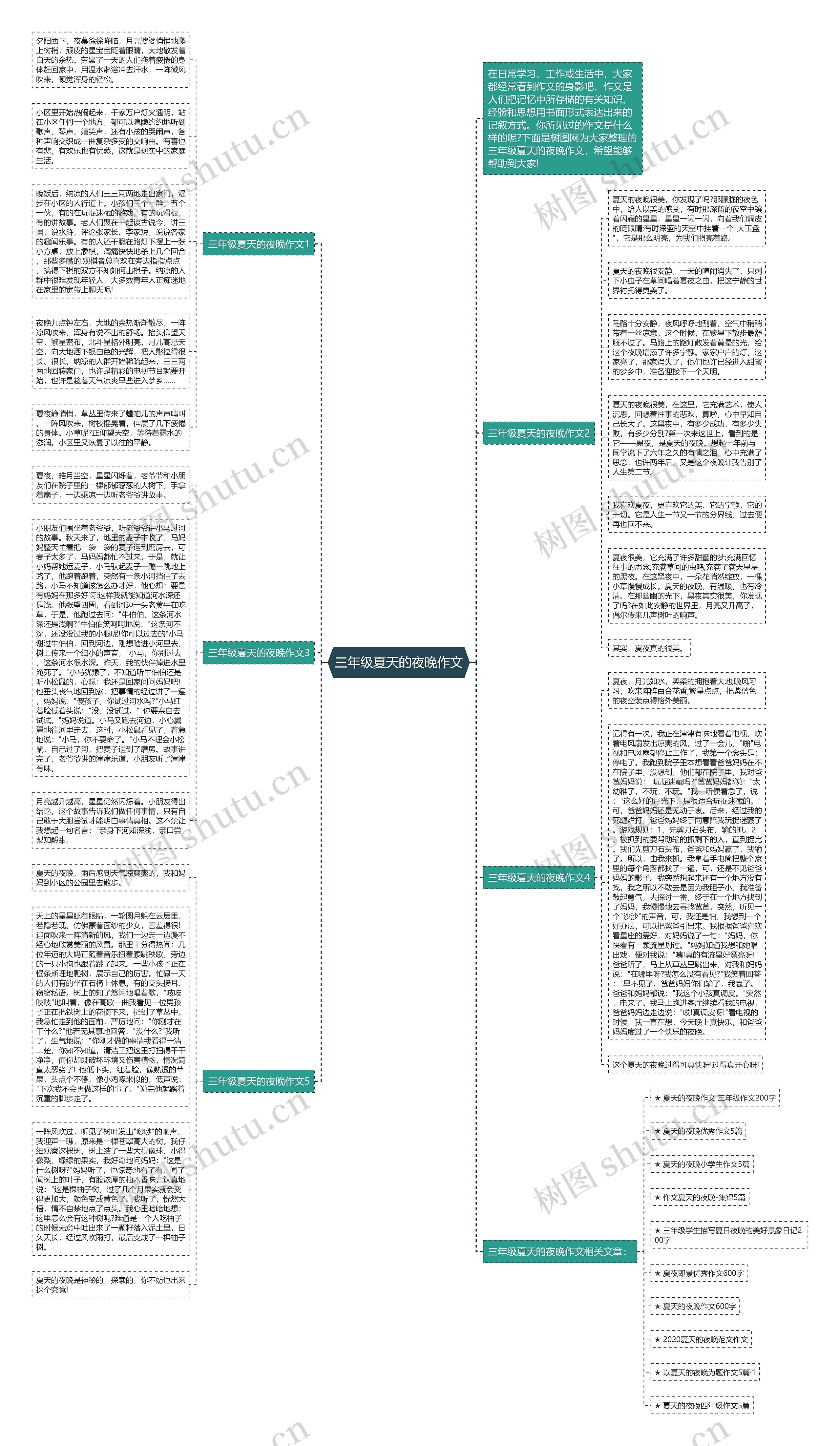 三年级夏天的夜晚作文思维导图
