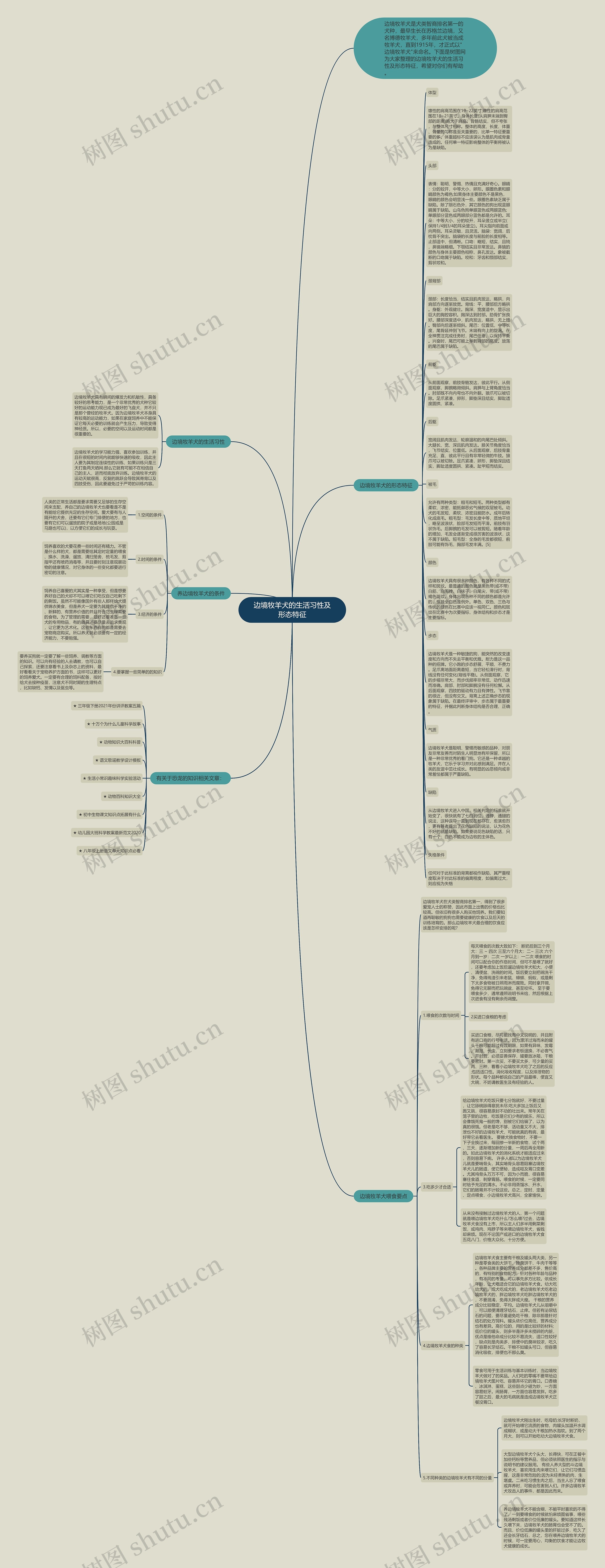 边境牧羊犬的生活习性及形态特征思维导图