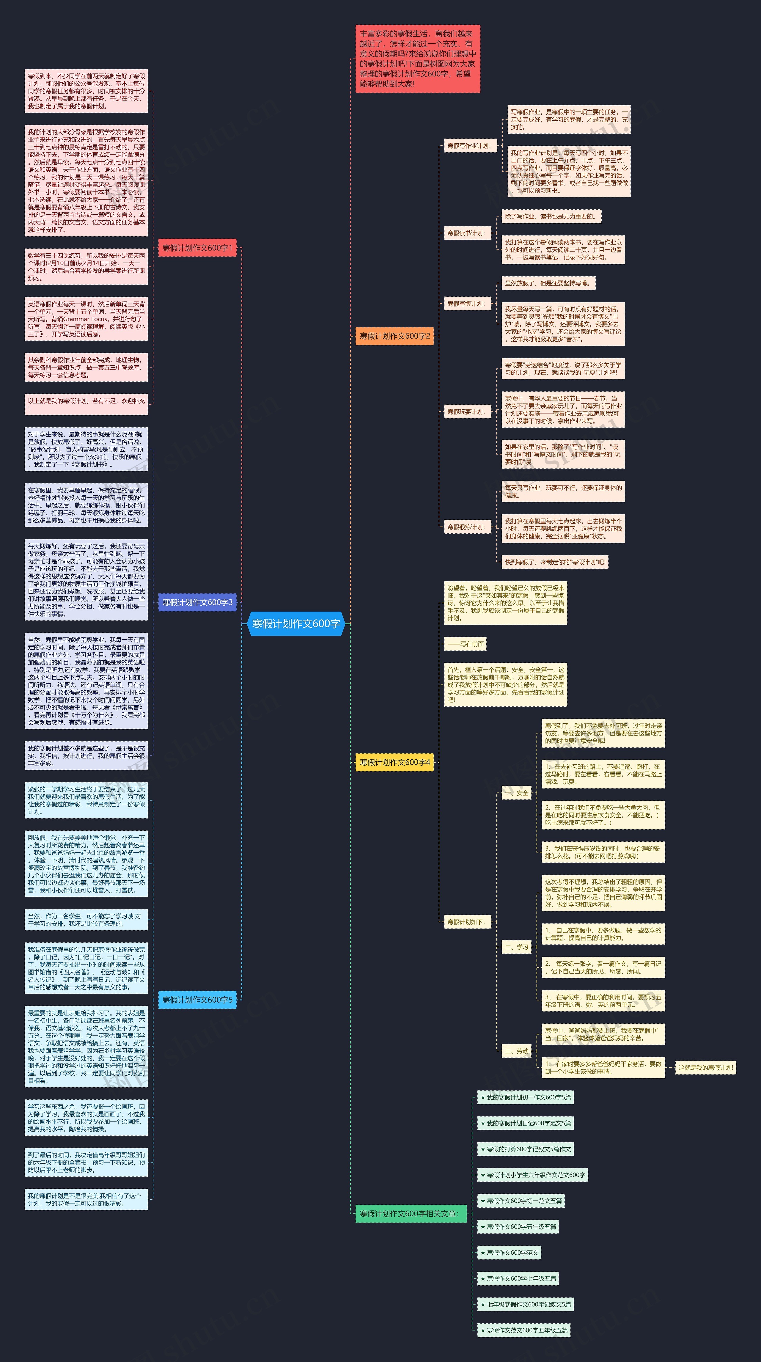 寒假计划作文600字