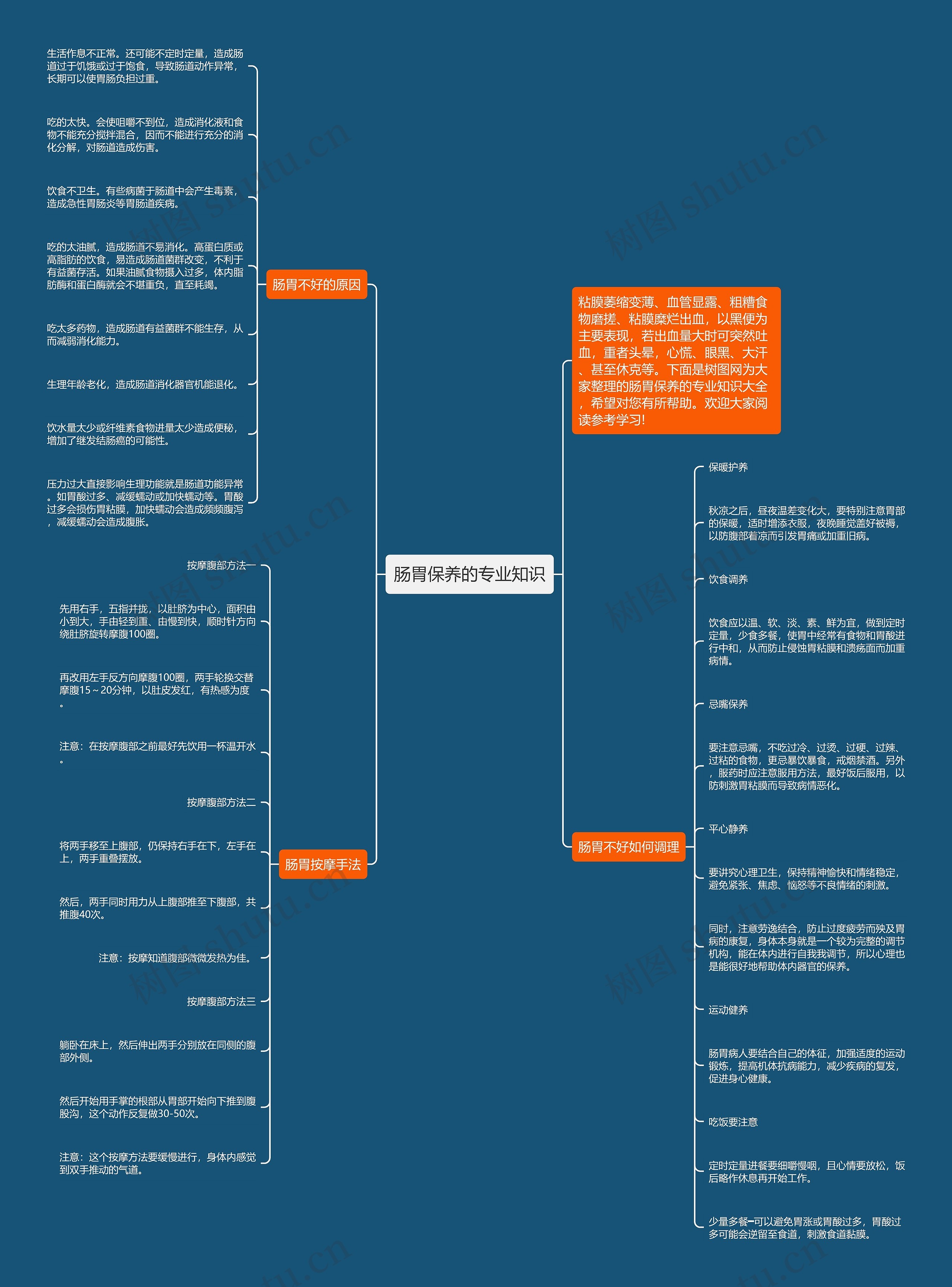 肠胃保养的专业知识思维导图