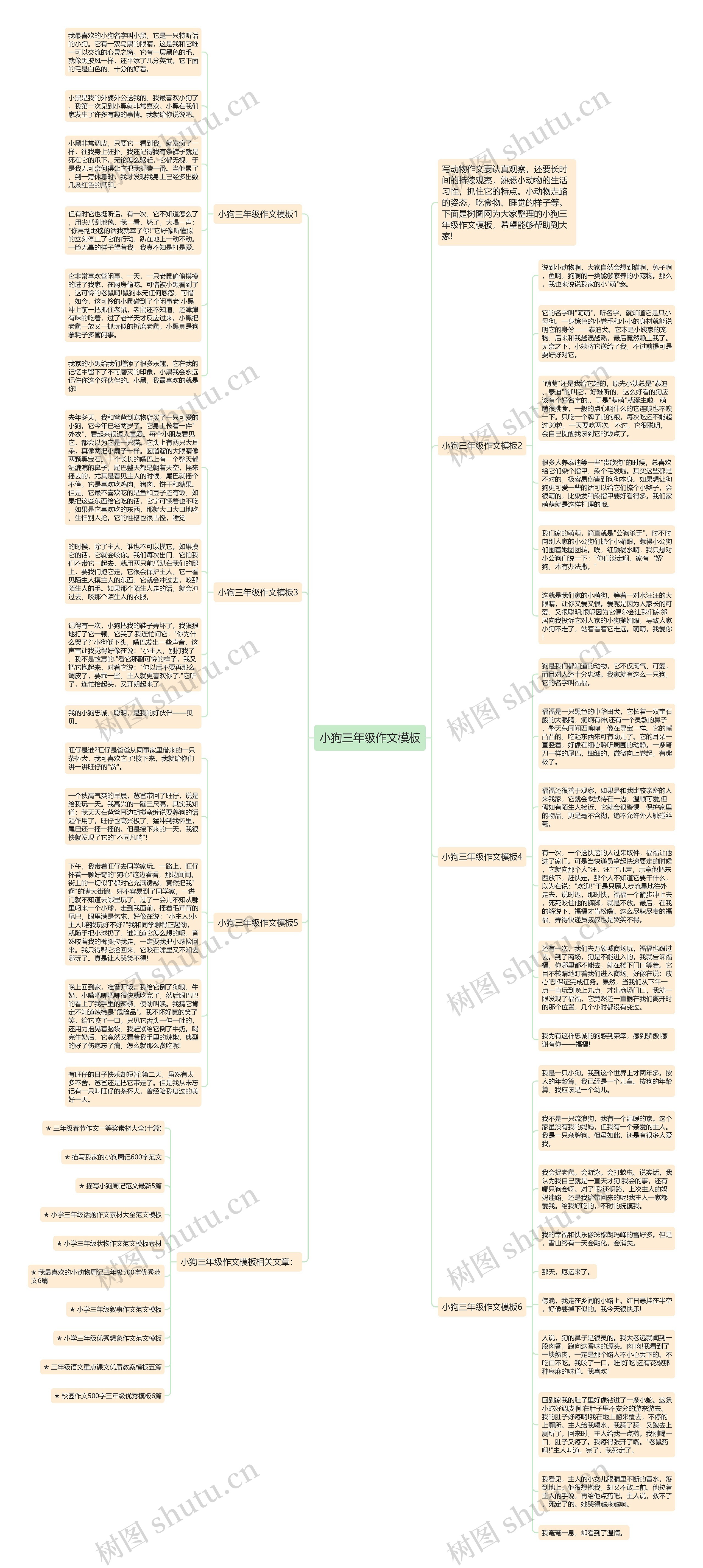 小狗三年级作文模板