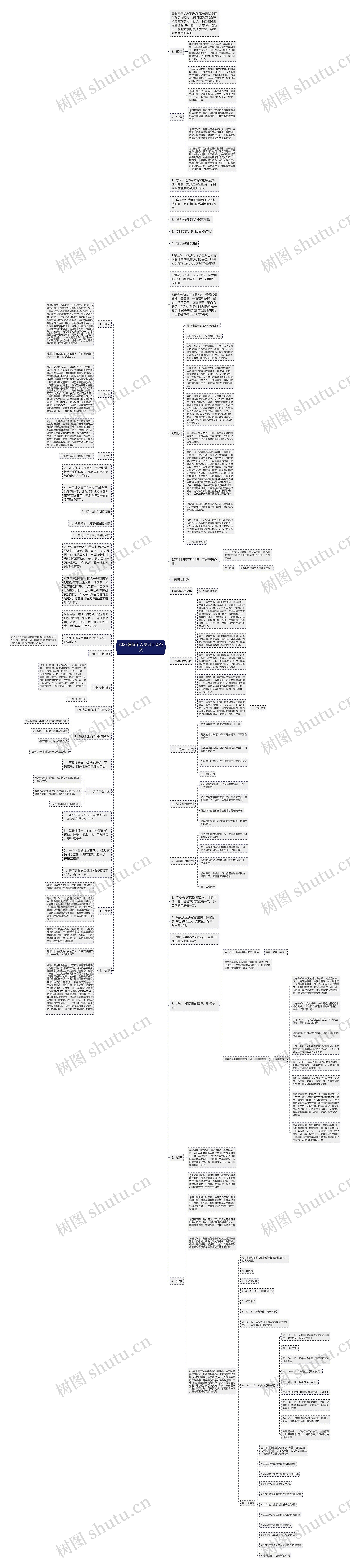 2022暑假个人学习计划范文思维导图