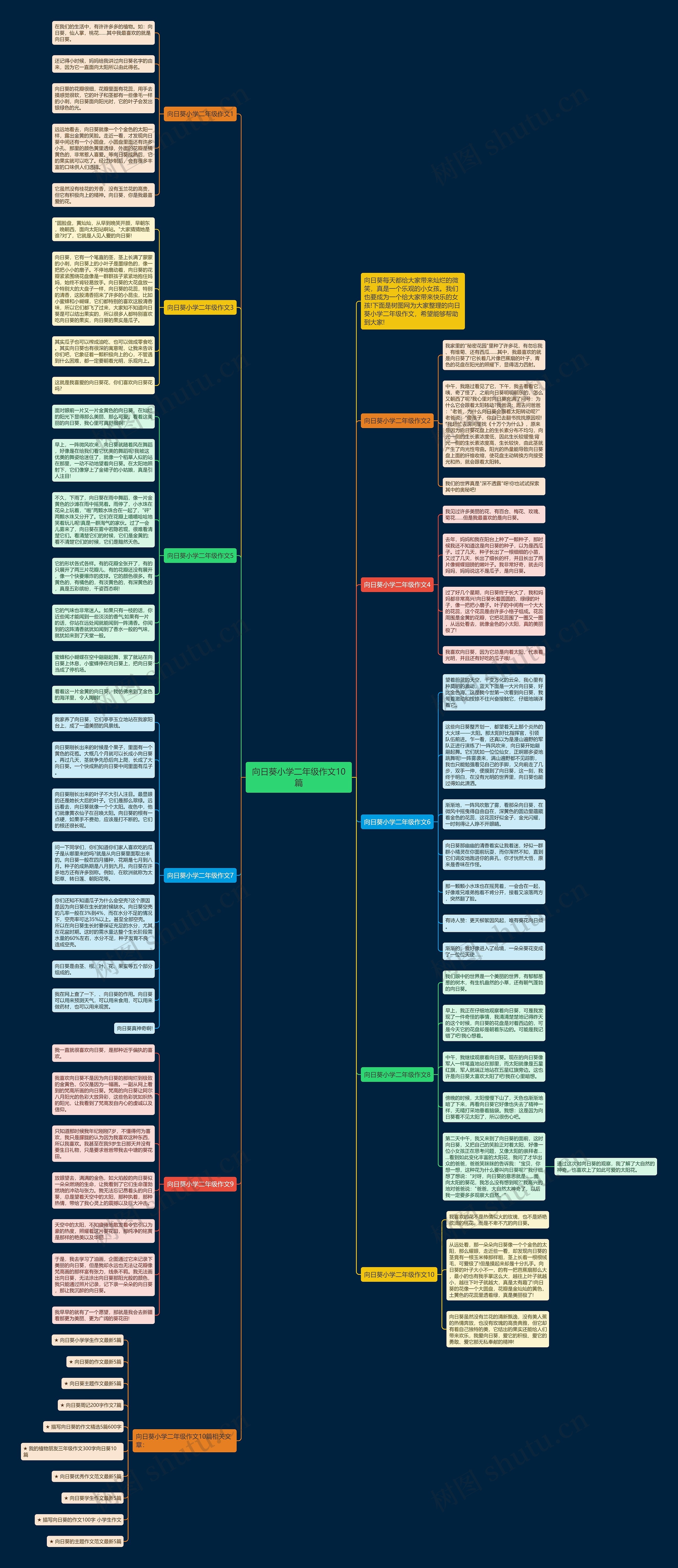 向日葵小学二年级作文10篇思维导图