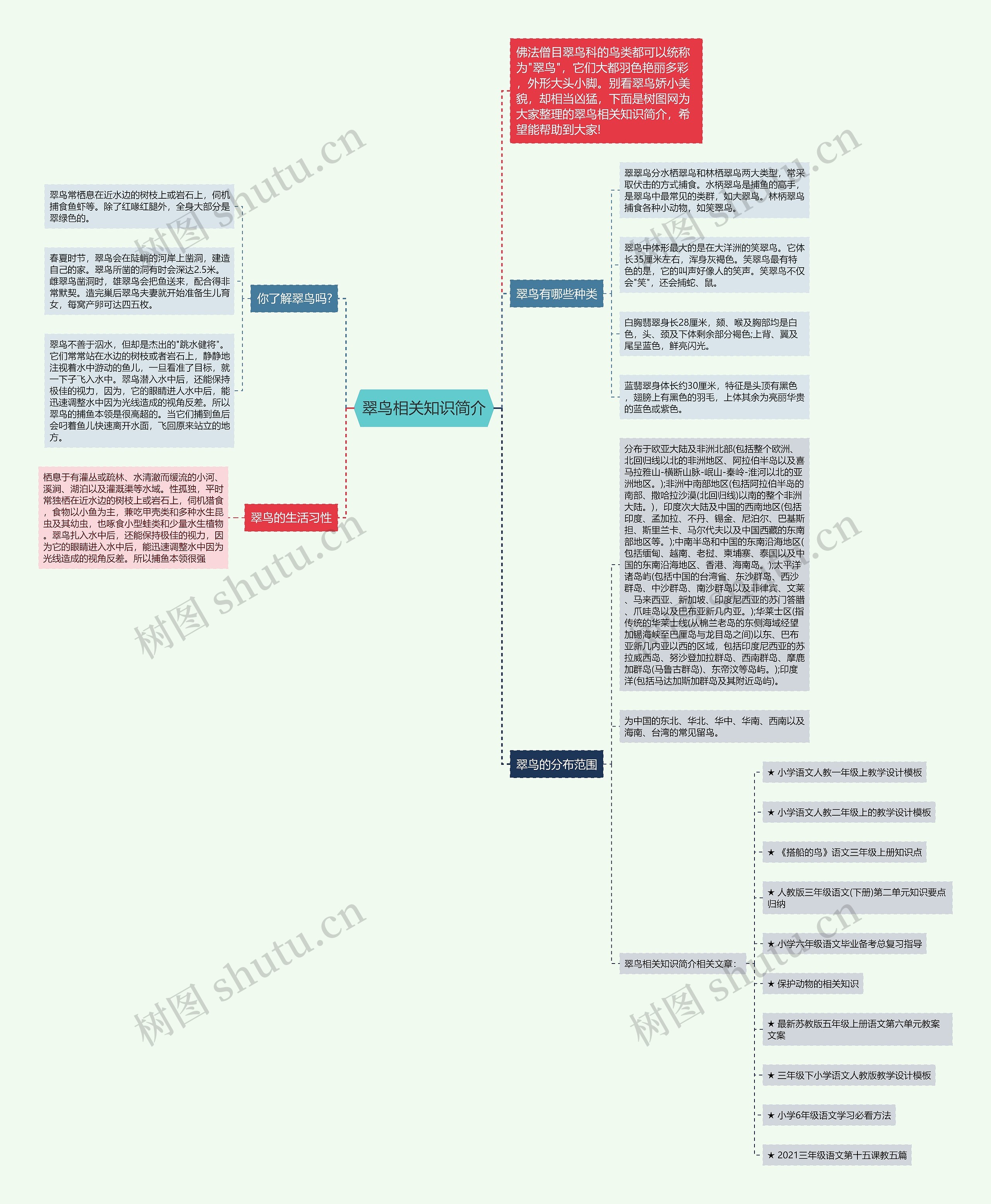 翠鸟相关知识简介思维导图高清图 翠鸟相关知识简介思维导图