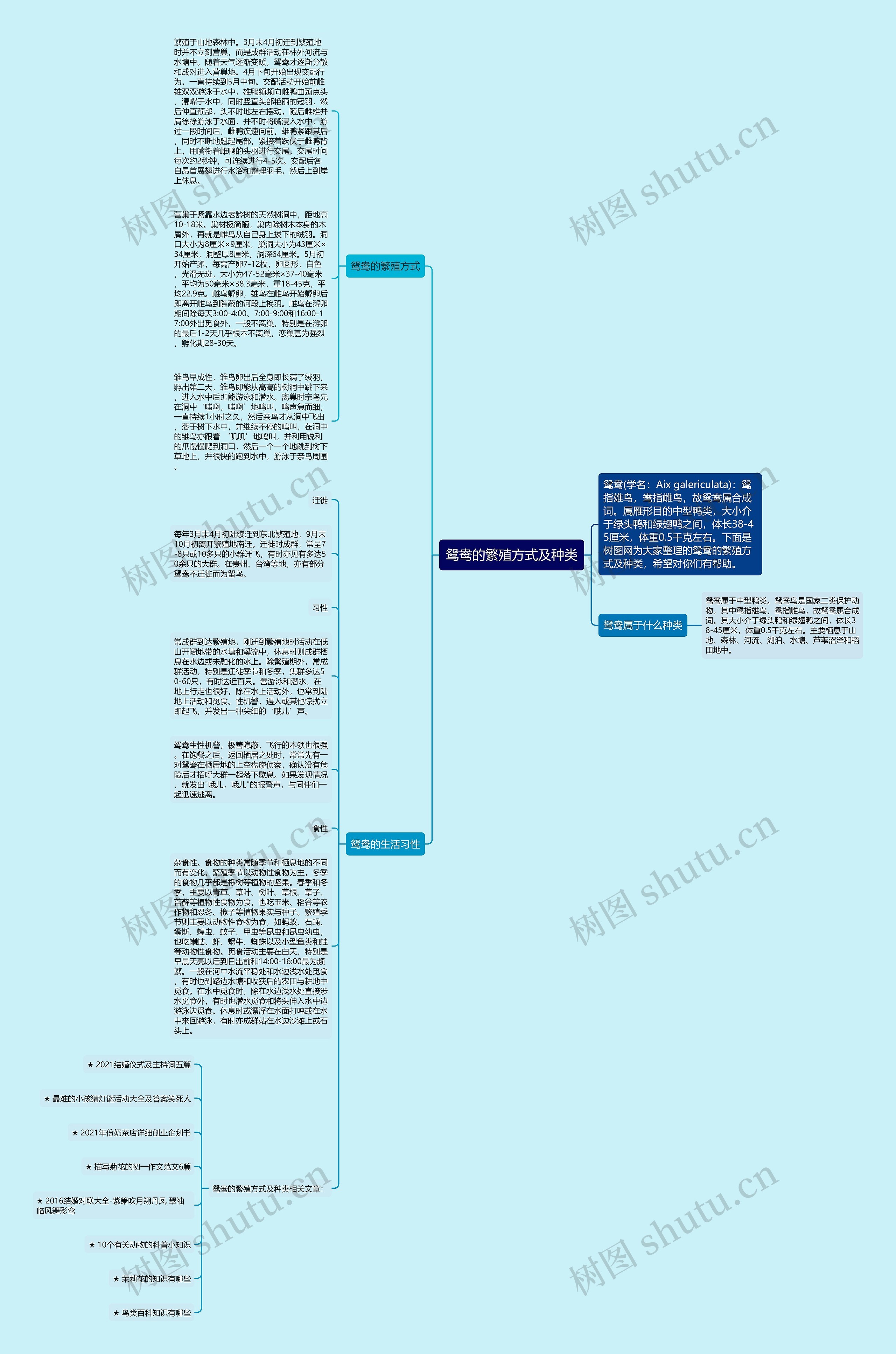 鸳鸯的繁殖方式及种类思维导图