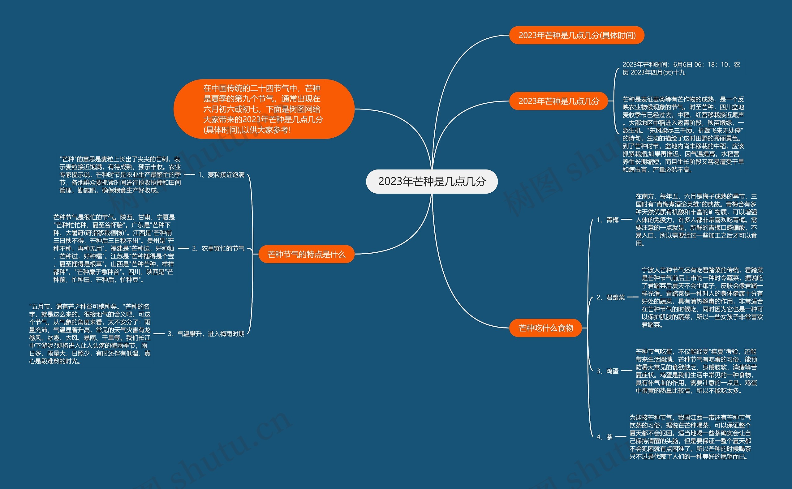 2023年芒种是几点几分思维导图