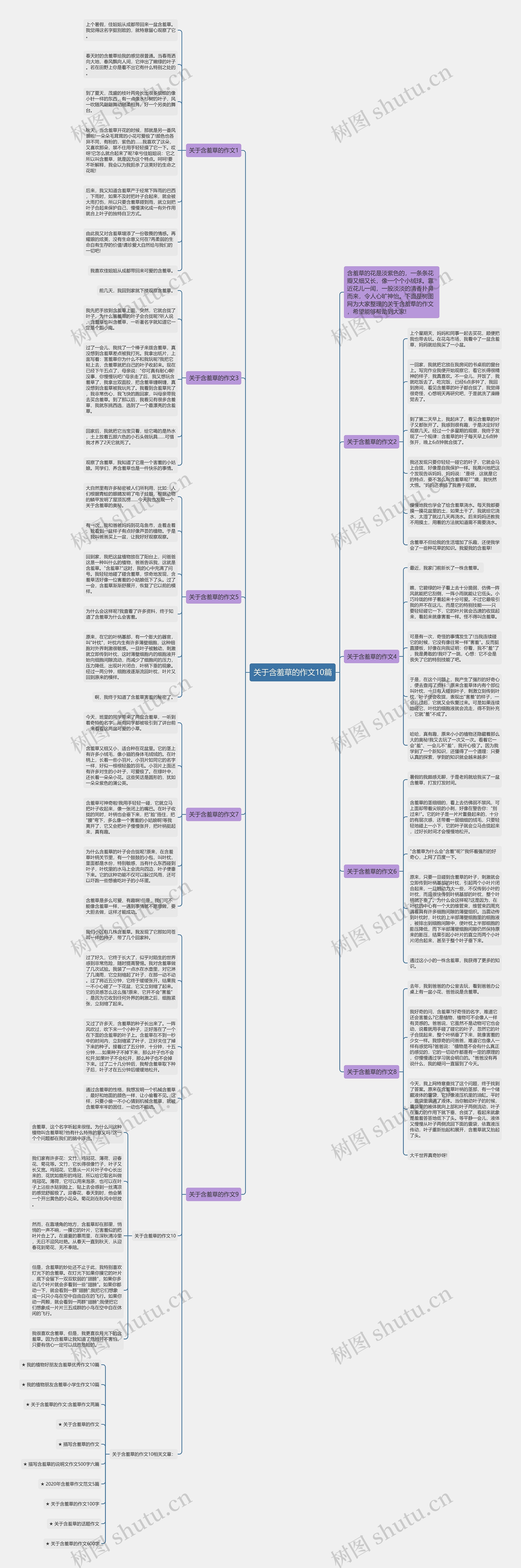 关于含羞草的作文10篇思维导图